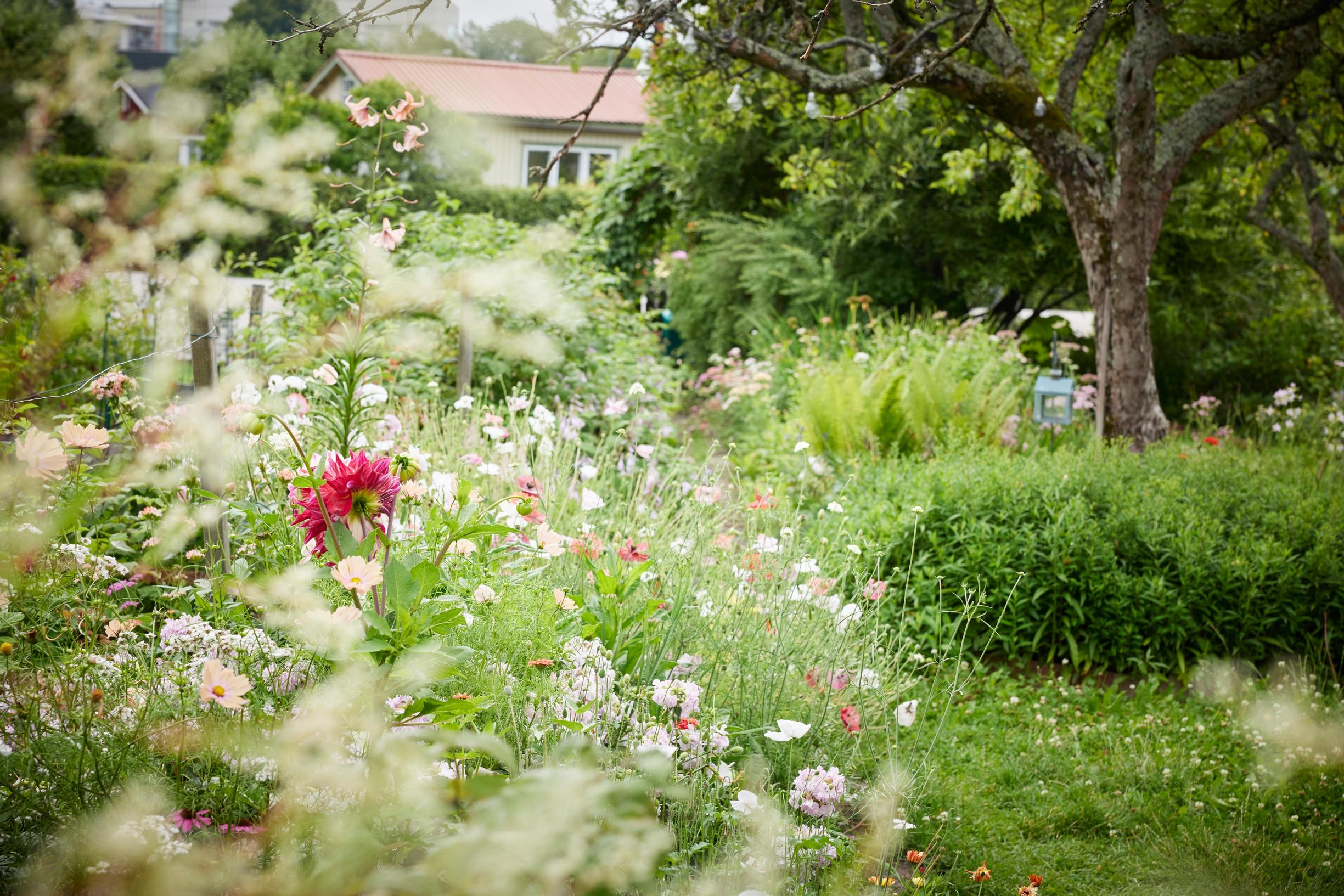a garden with flowers and apple trees