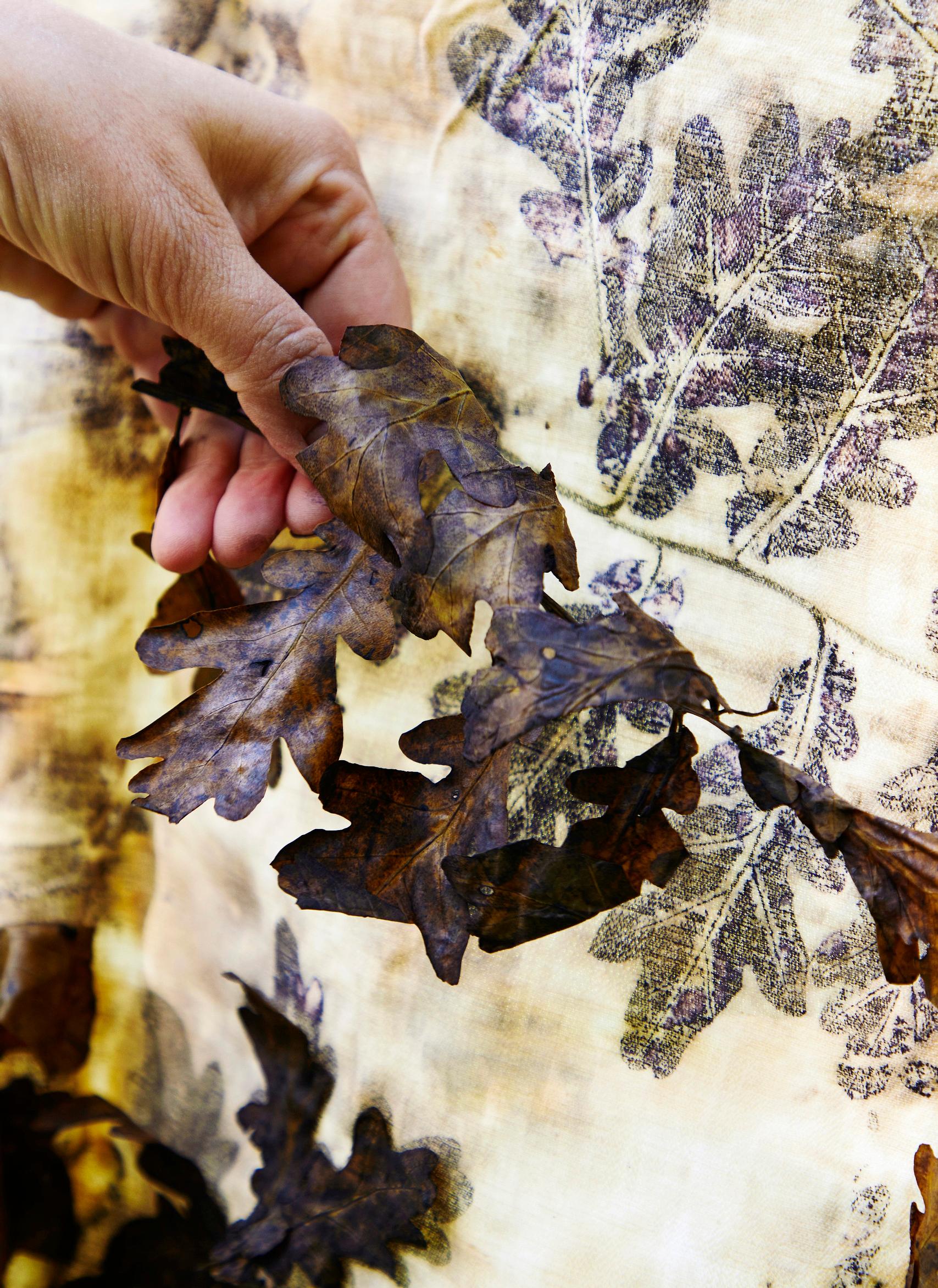 Using oak leaves in ecoprinting