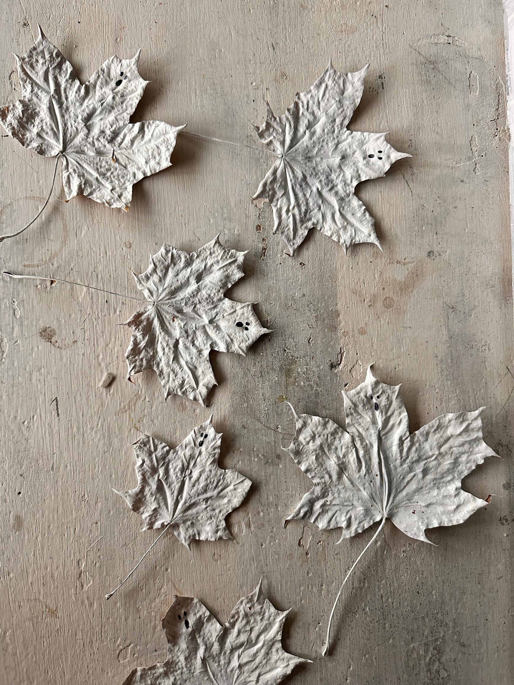 Maple leaf ghosts on a table, close-up.