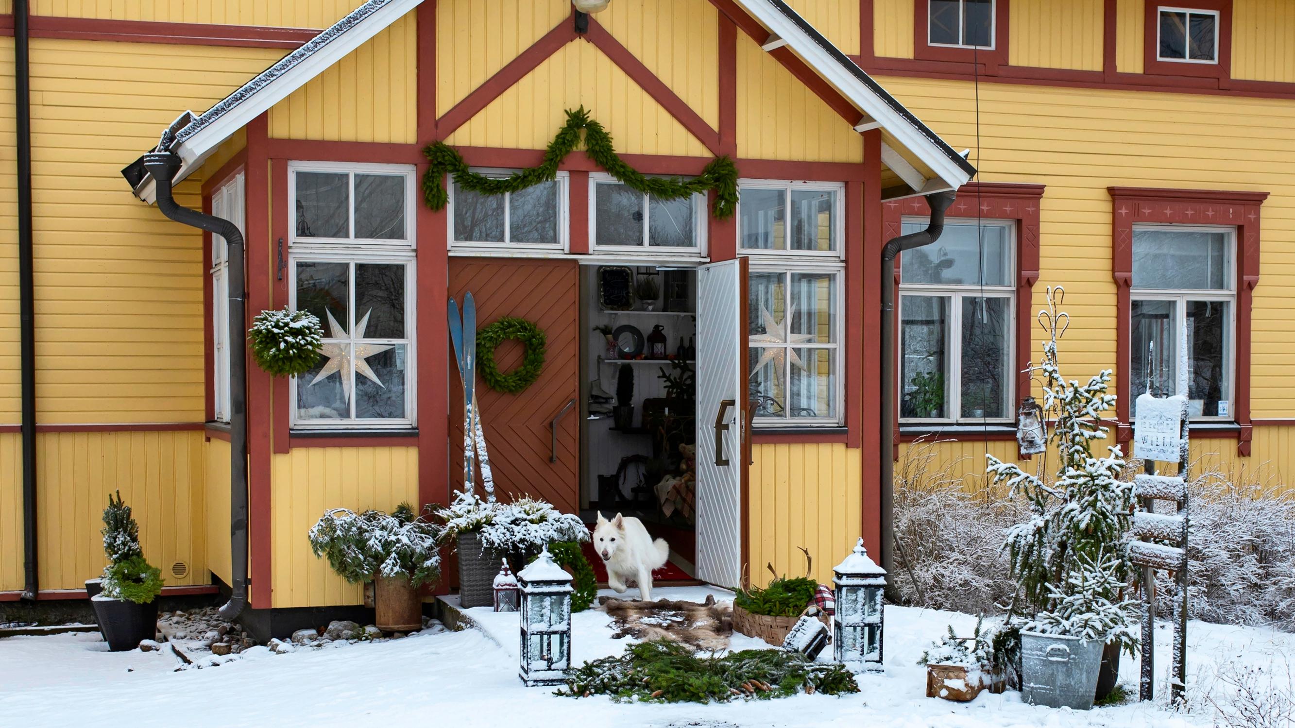 “Christmas spirit is found in creating a celebration for others”: step inside this 1890s wooden house, where a holiday feast is prepared with love
