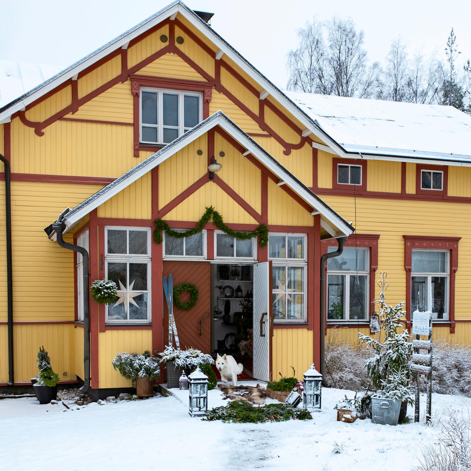 “Christmas spirit is found in creating a celebration for others”: step inside this 1890s wooden house, where a holiday feast is prepared with love