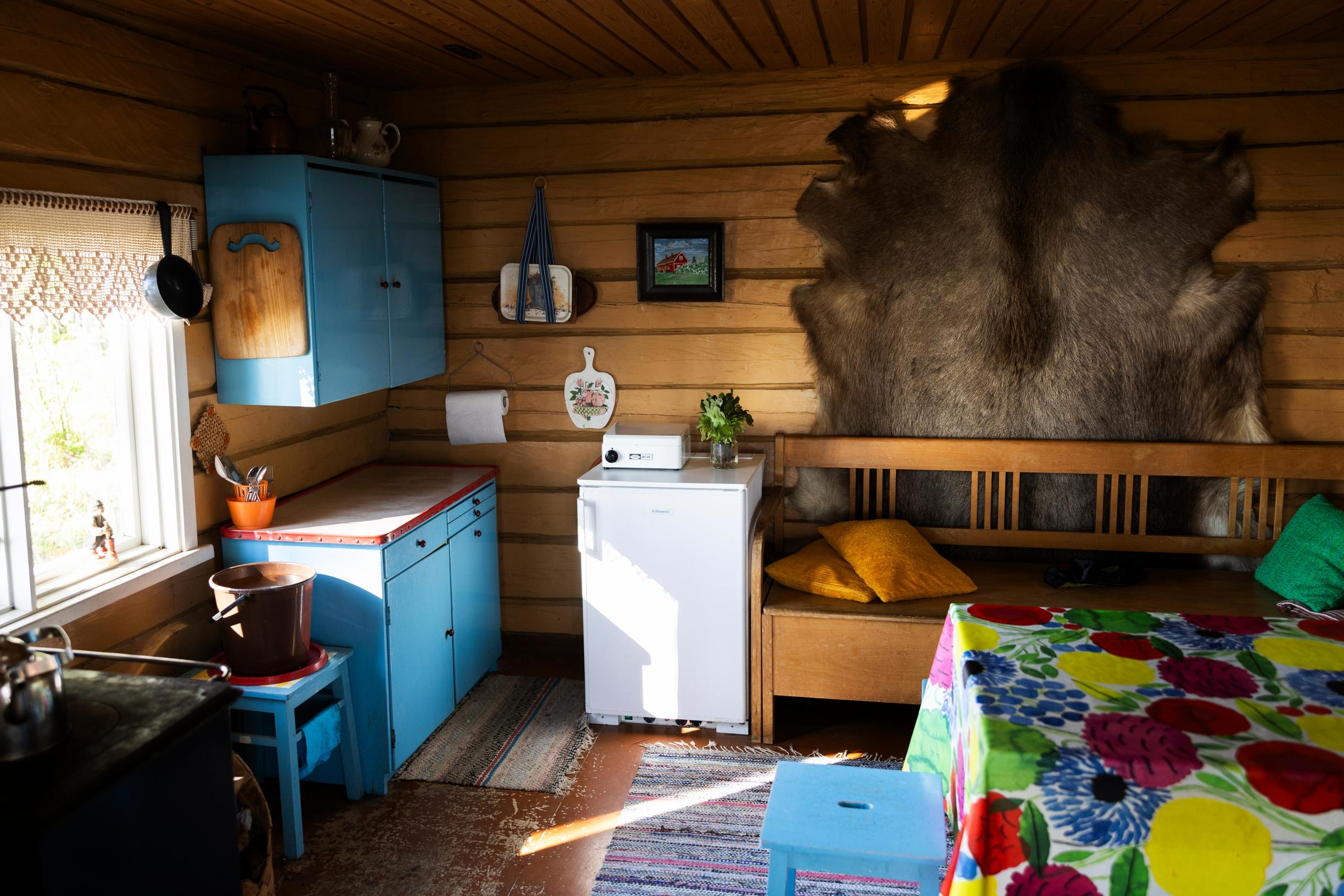 Retro-style cottage living room, colorful tablecloth, cabinets, sofa, refrigerator, and moose hide