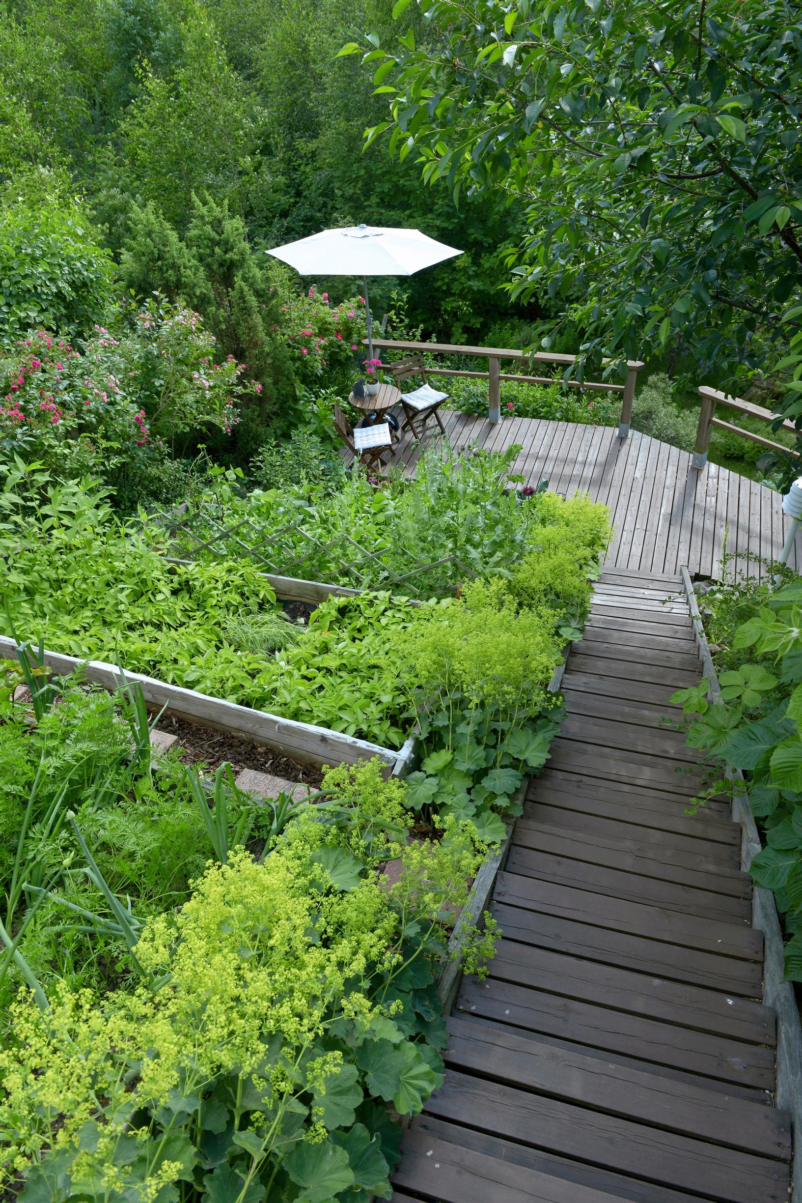 Steps in the garden: steep slope