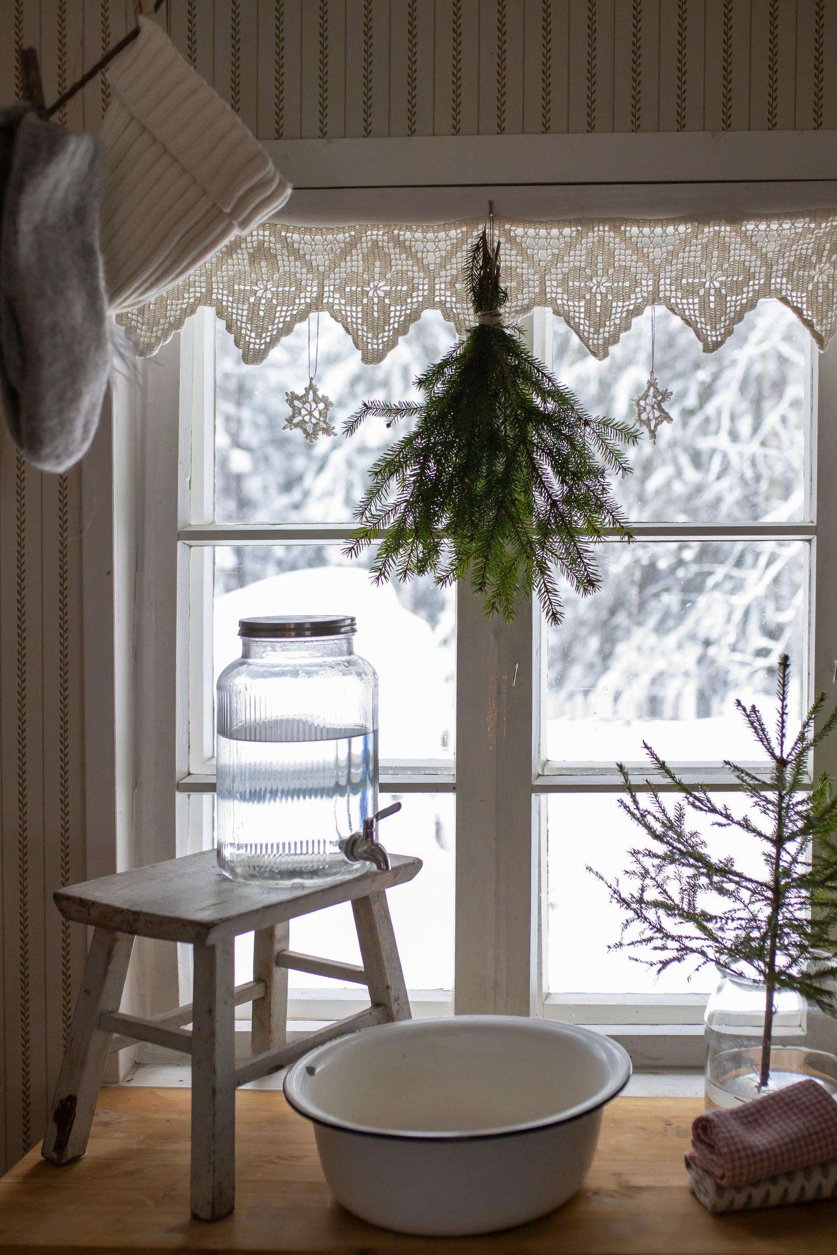 A water container, an enamel basin, a stool, a small spruce, and a window.