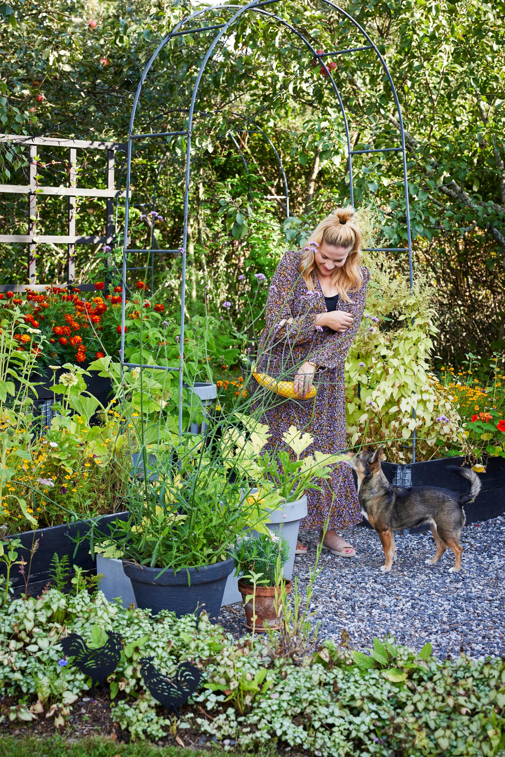 Vegetables and herbs grow in pots and raised beds in a sunny corner.