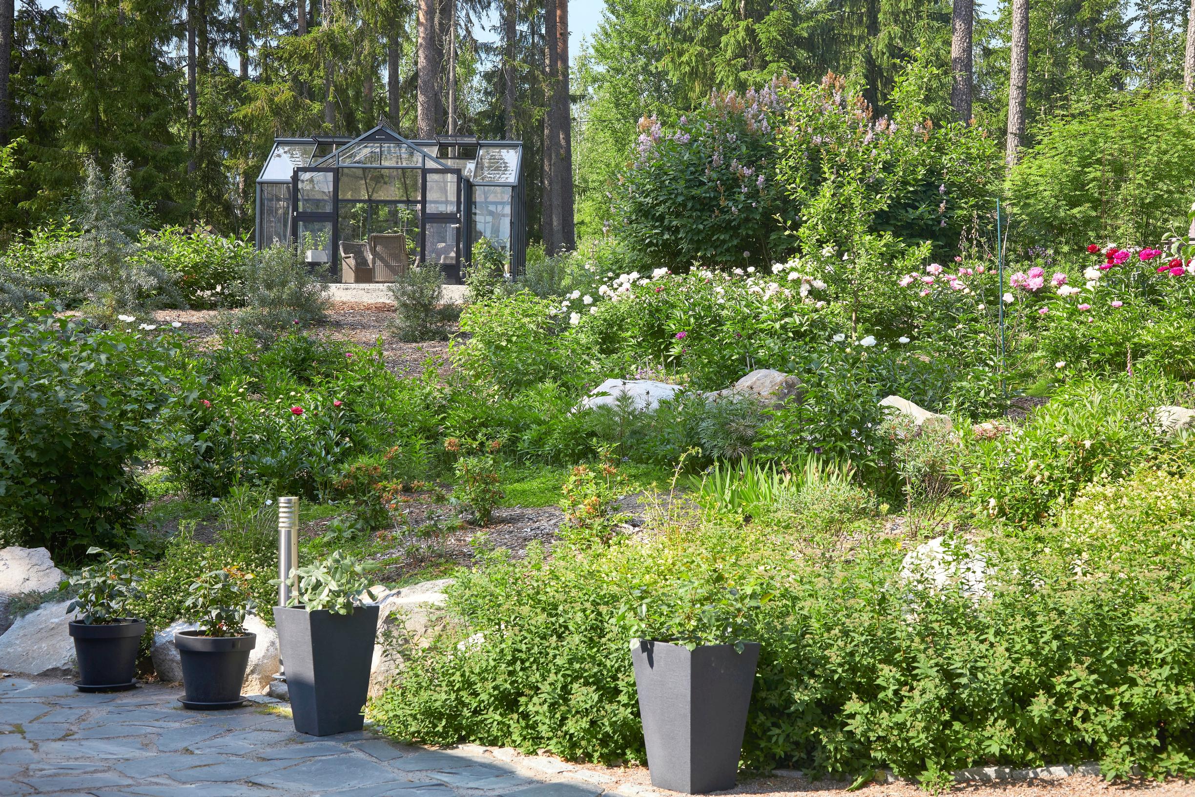 Before the peonies bloom, azaleas color the slope, followed by phlox later in the summer.