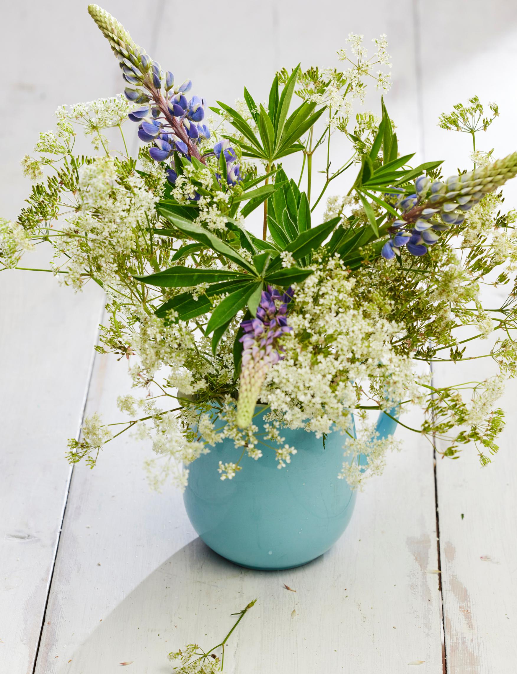 An old Arabia milk pitcher holding an arrangement of invasive species.