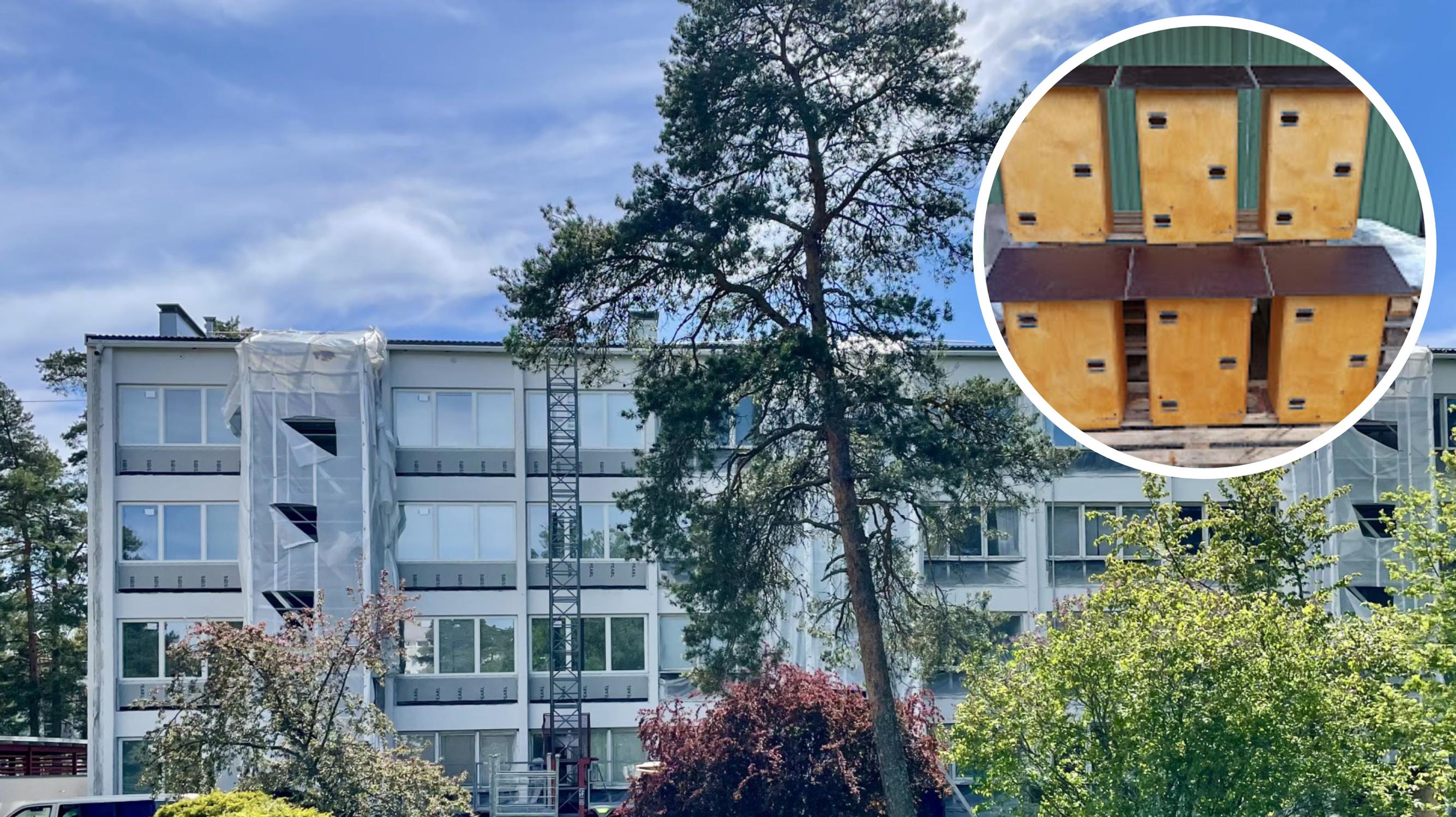 A surprising renovation in Helsinki: 223 homes for people—and 18 homes for swifts! 