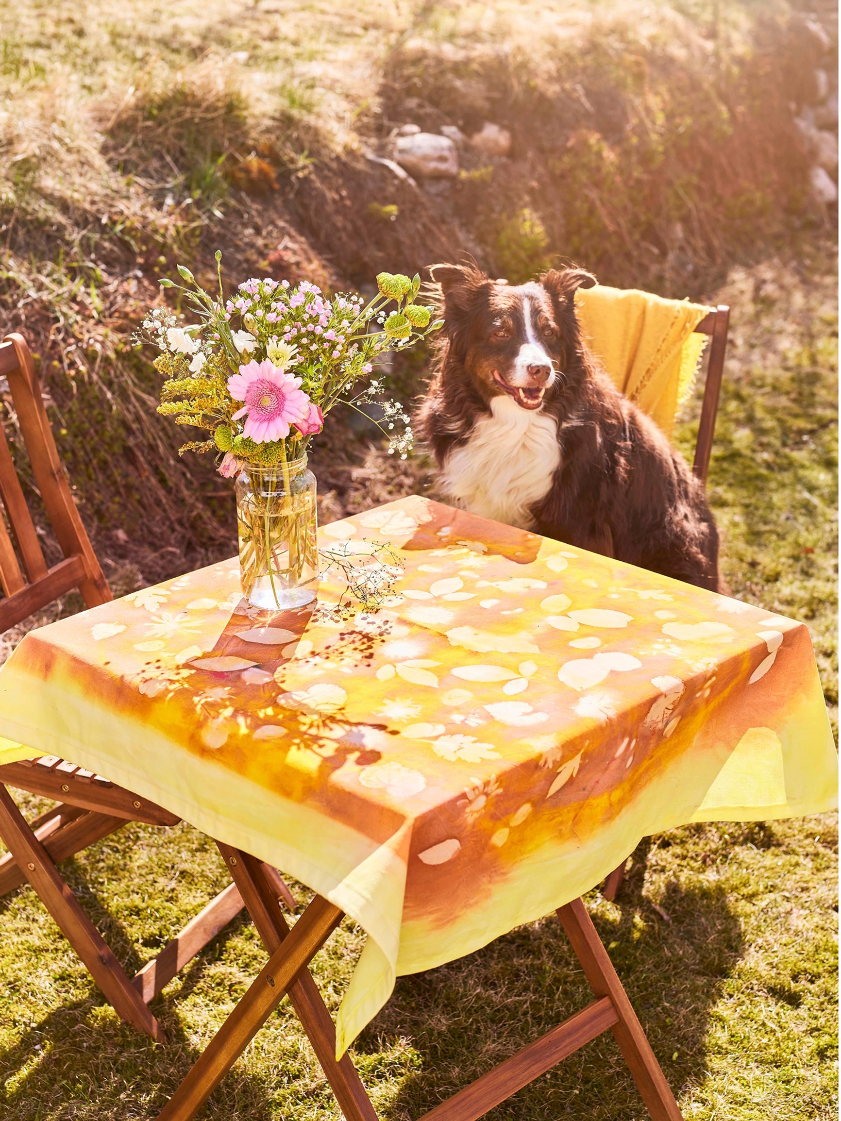 Craft with the sun: 3 ways to harness the sun for stunning patterns on paper and fabric