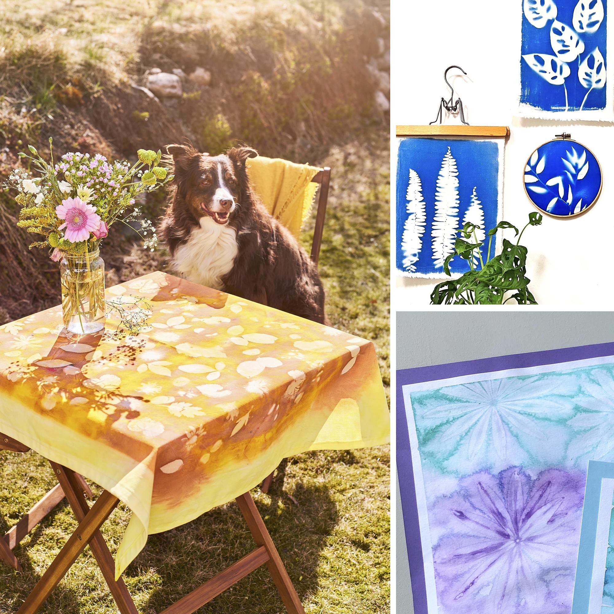 Craft with the sun: 3 ways to harness the sun for stunning patterns on paper and fabric