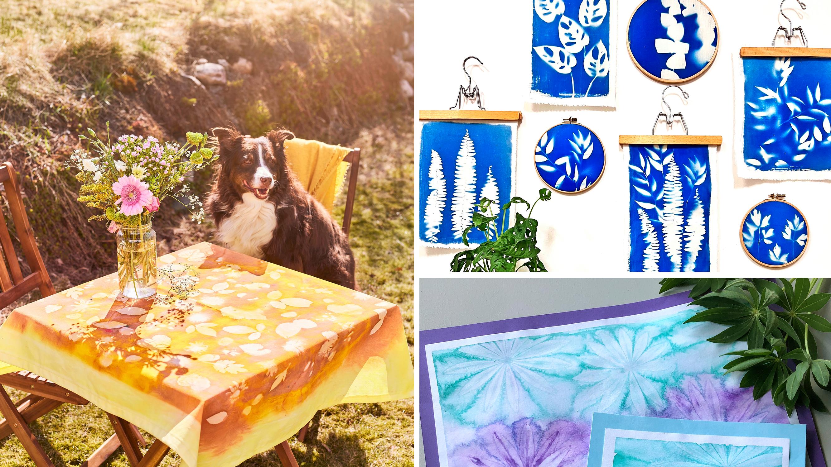 Craft with the sun: 3 ways to harness the sun for stunning patterns on paper and fabric