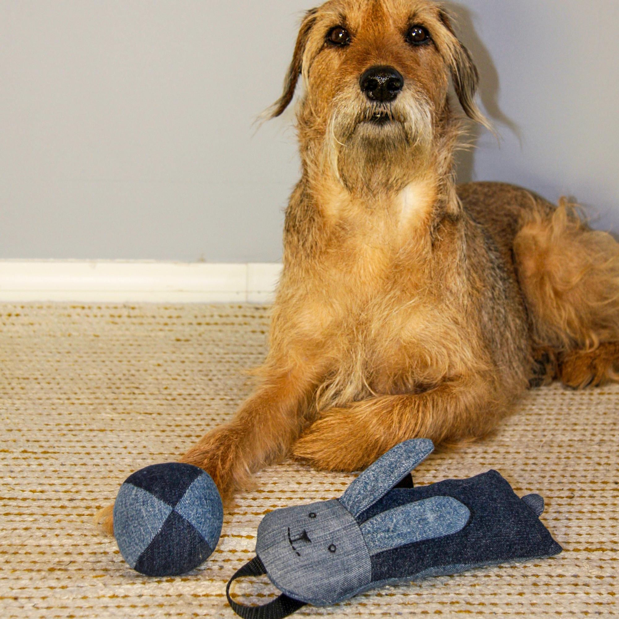 A dog ball and tug toy from old jeans—see our instructions and sew your furry friend’s new favorite toys