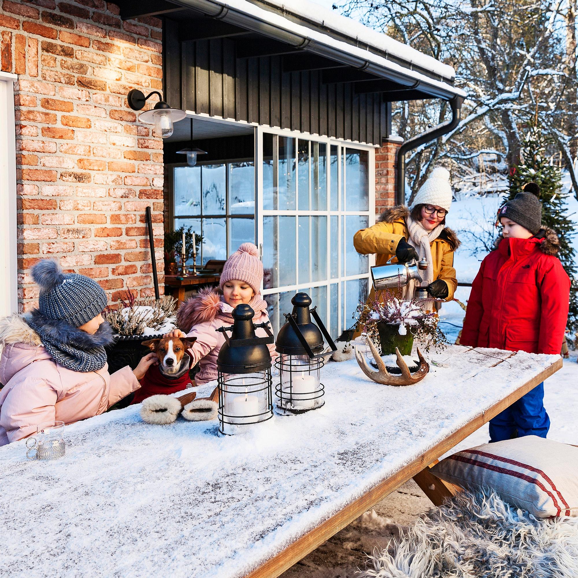 All the comforts: a new-old yard sauna that feels like a cottage in your backyard