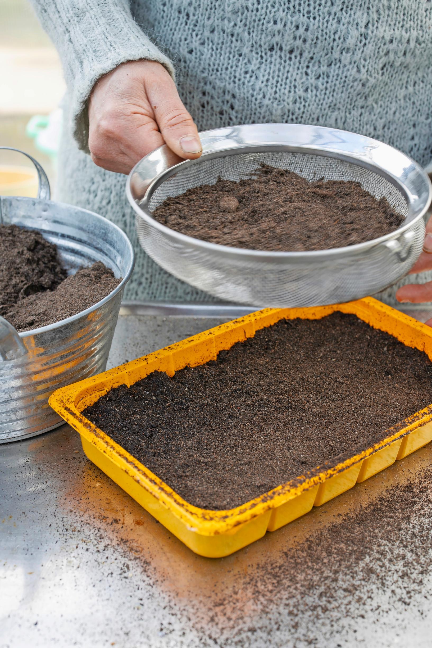 sowing tiny seeds