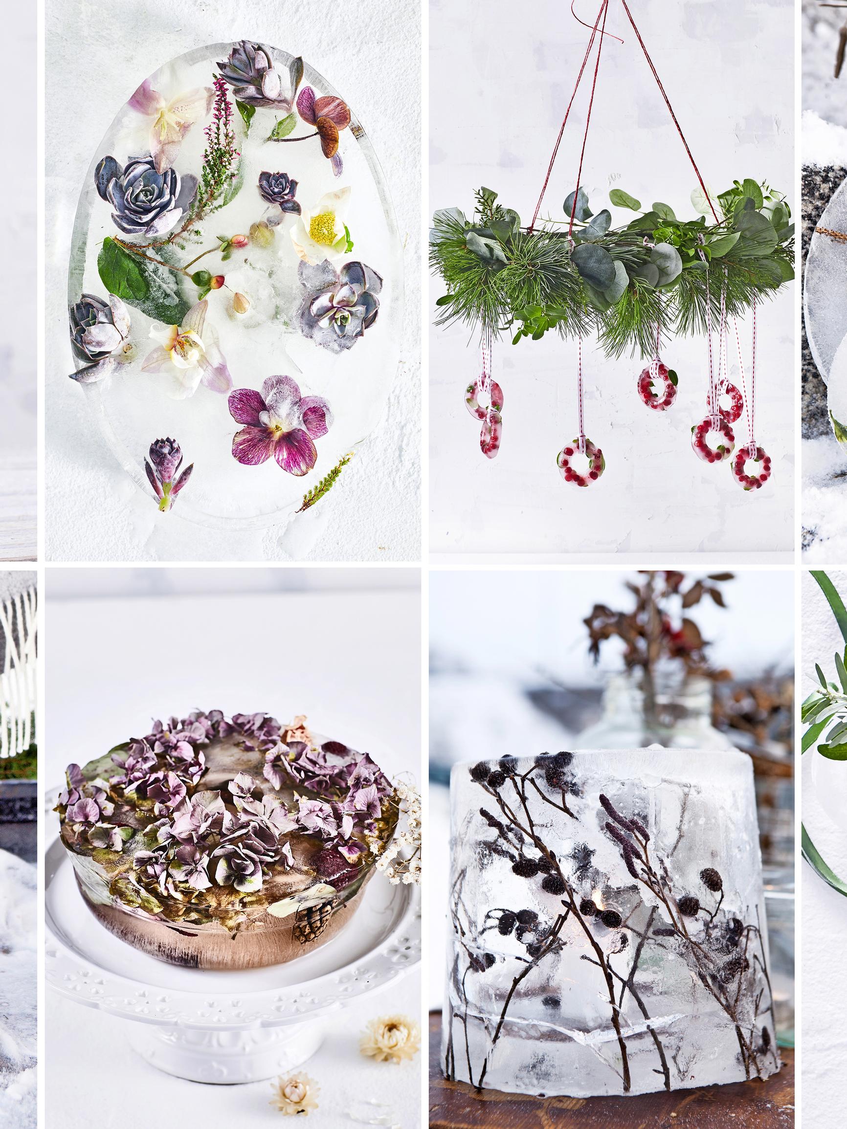 Beauty beneath the ice! 16 delightful ways to brighten your winter yard or balcony