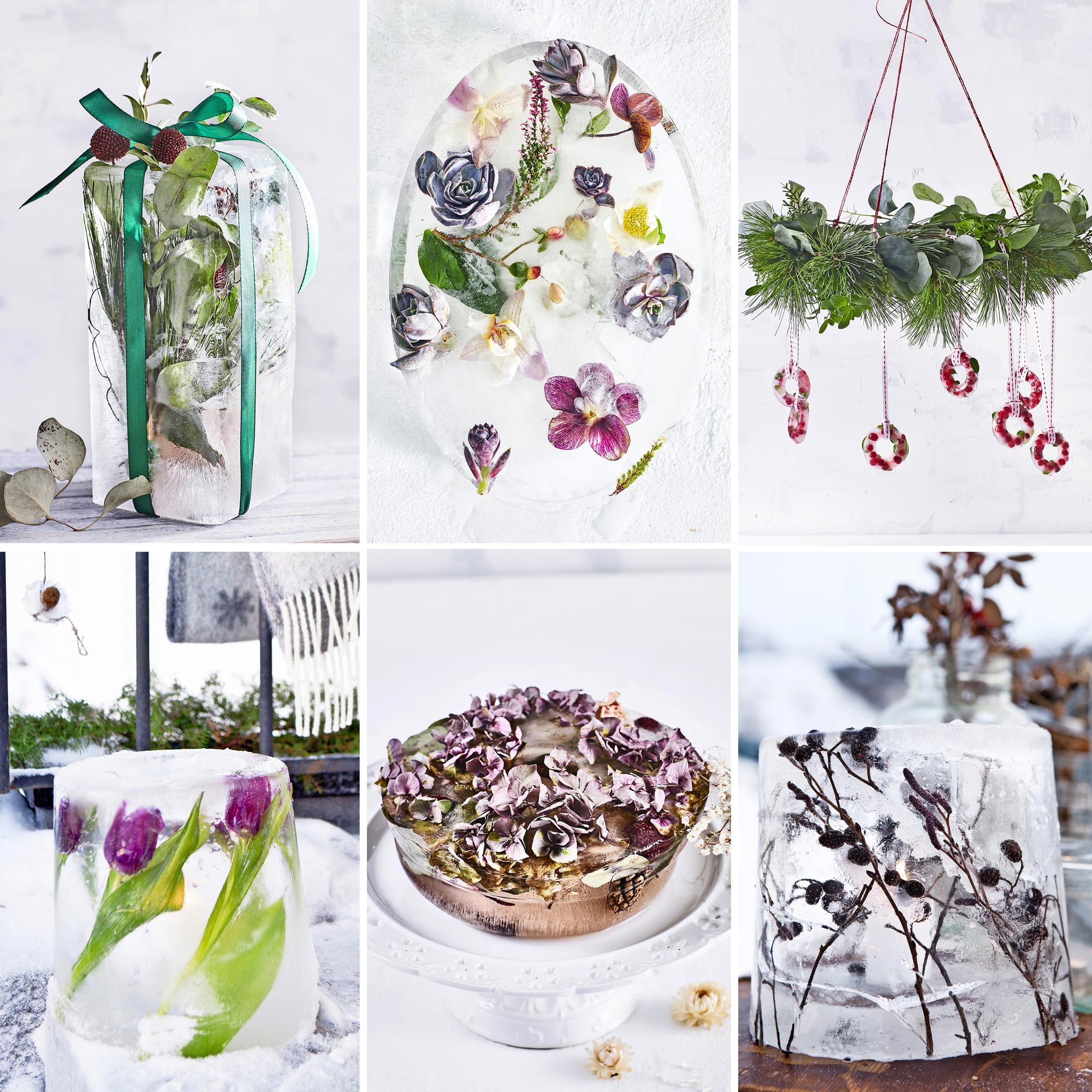 Beauty beneath the ice! 16 delightful ways to brighten your winter yard or balcony
