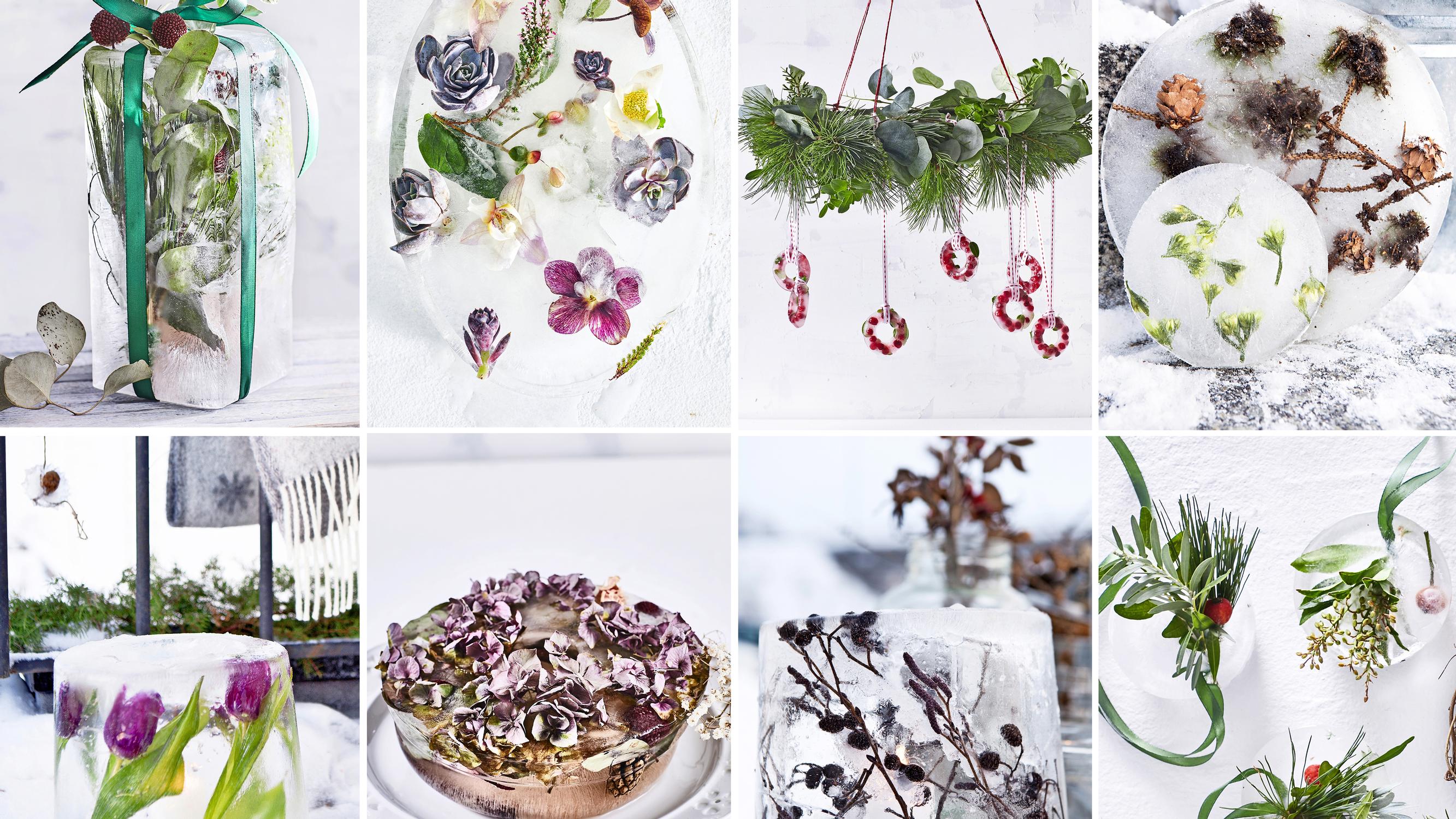 Beauty beneath the ice! 16 delightful ways to brighten your winter yard or balcony