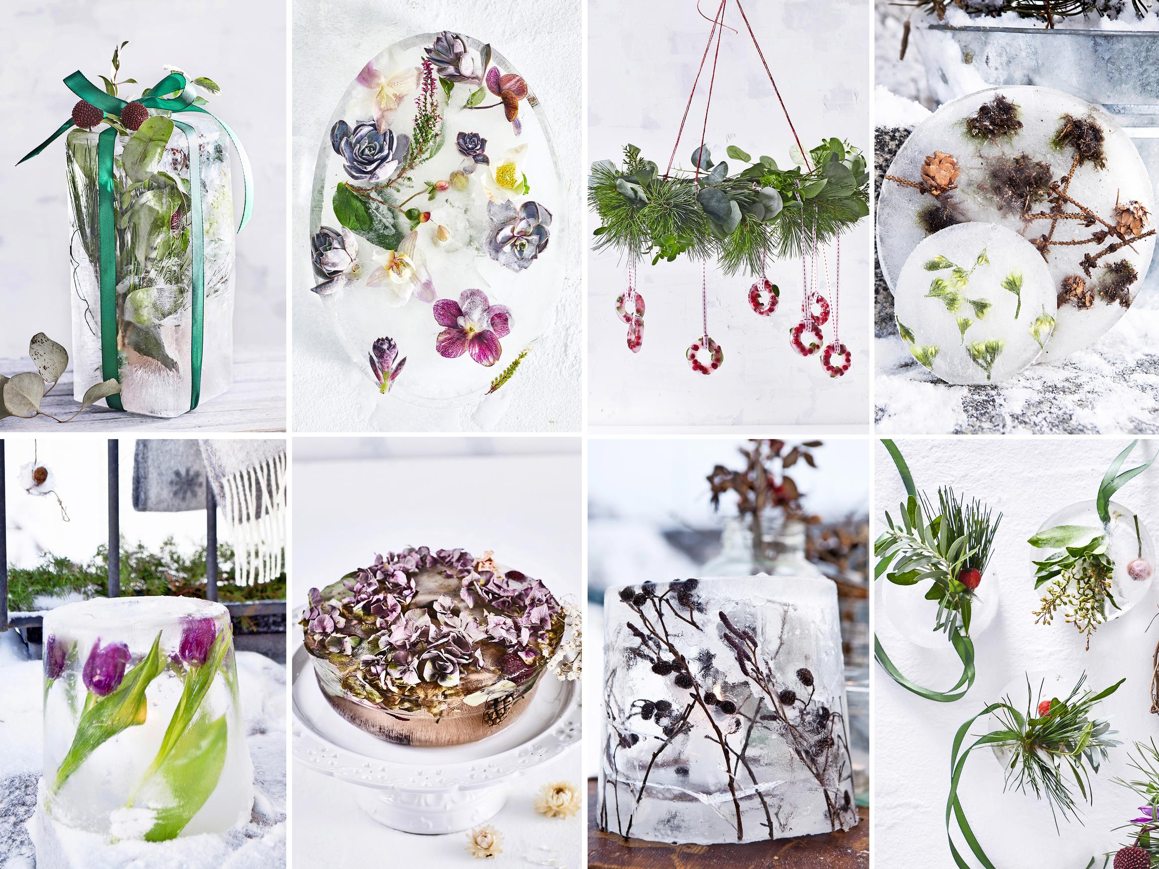 Beauty beneath the ice! 16 delightful ways to brighten your winter yard or balcony