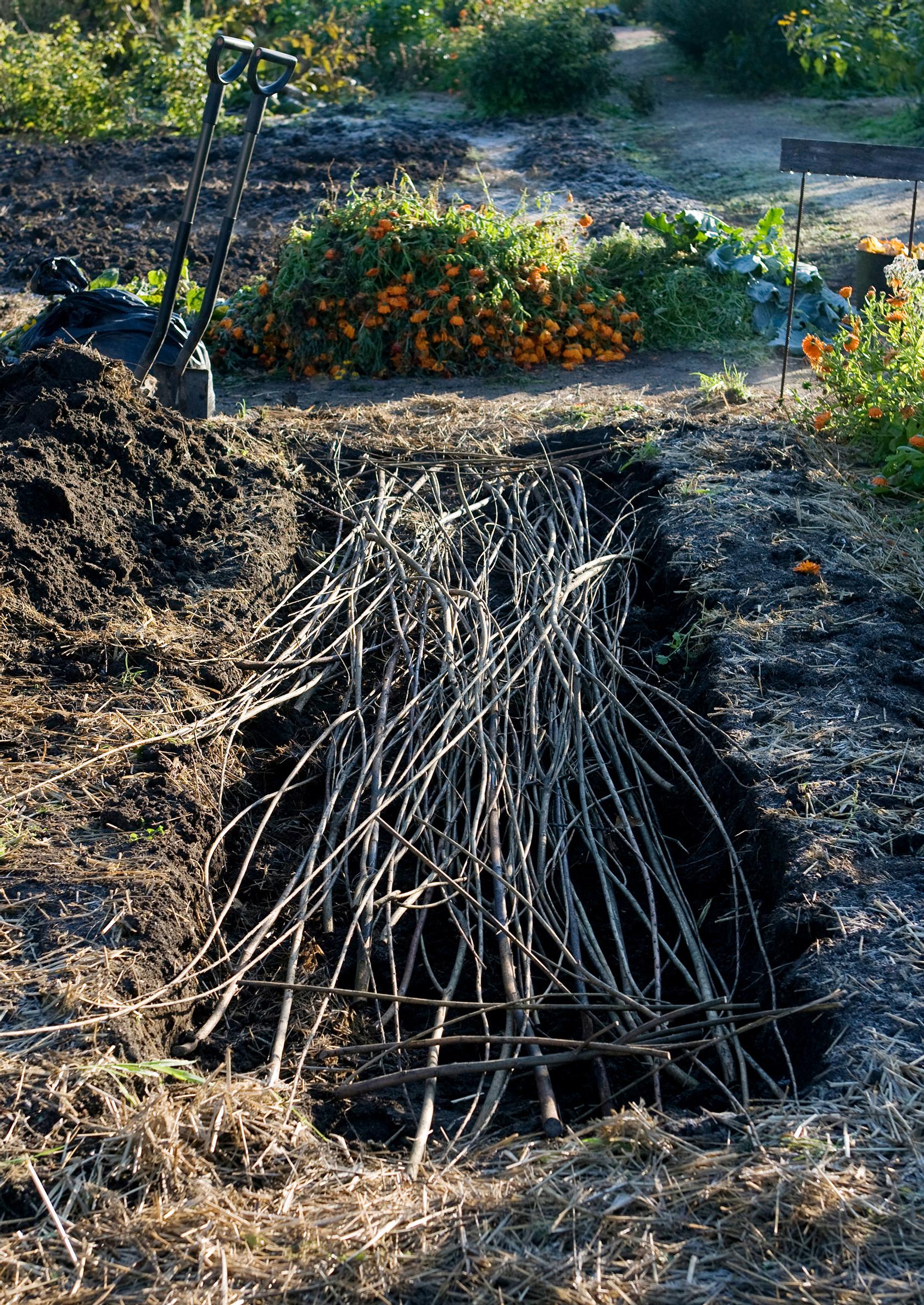 How to become self-sufficient: An unfinished hotbed or raised bed