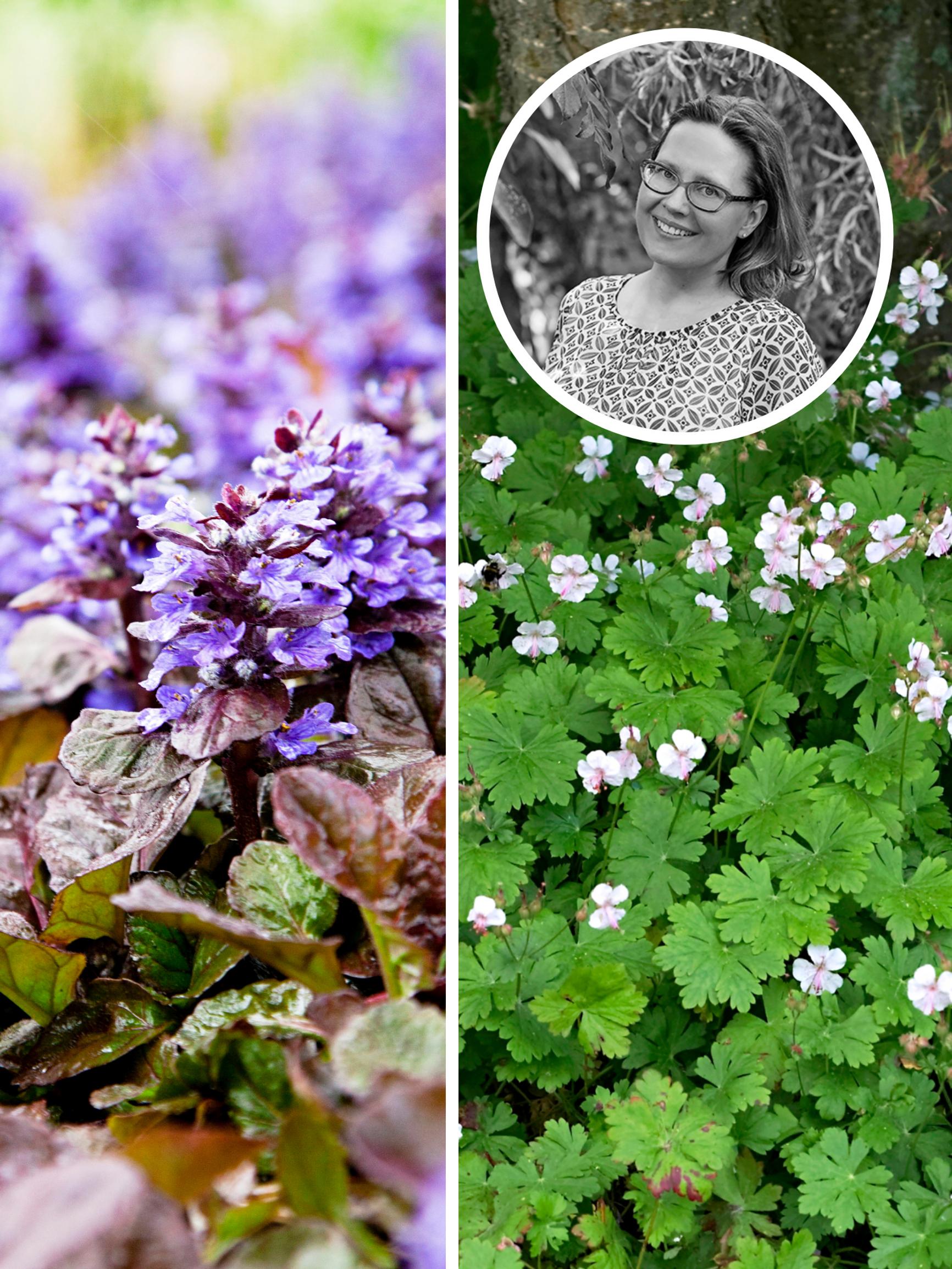 Say goodbye to wasted space! The narrow gap between houses was transformed into something special by a garden designer 
