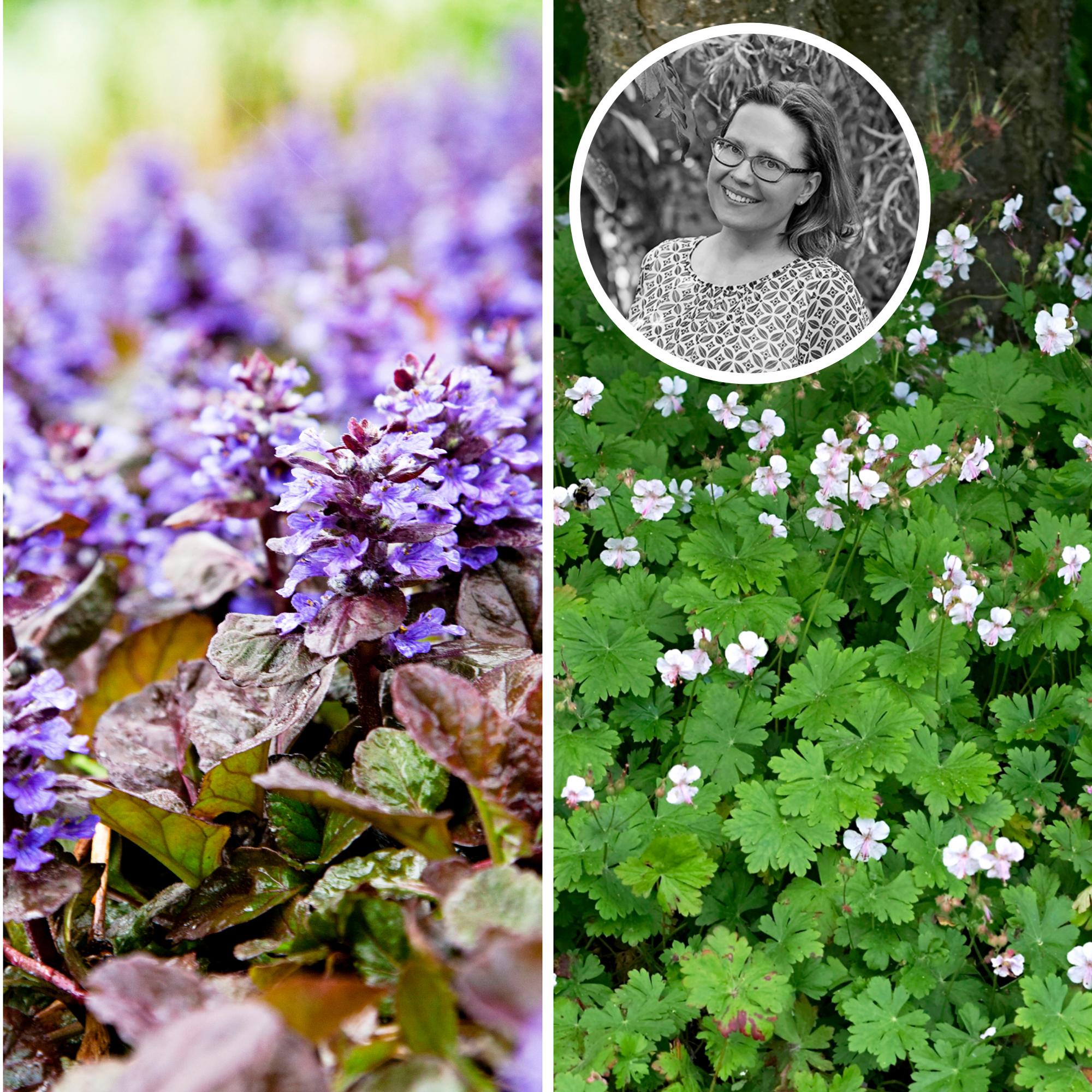 Say goodbye to wasted space! The narrow gap between houses was transformed into something special by a garden designer 