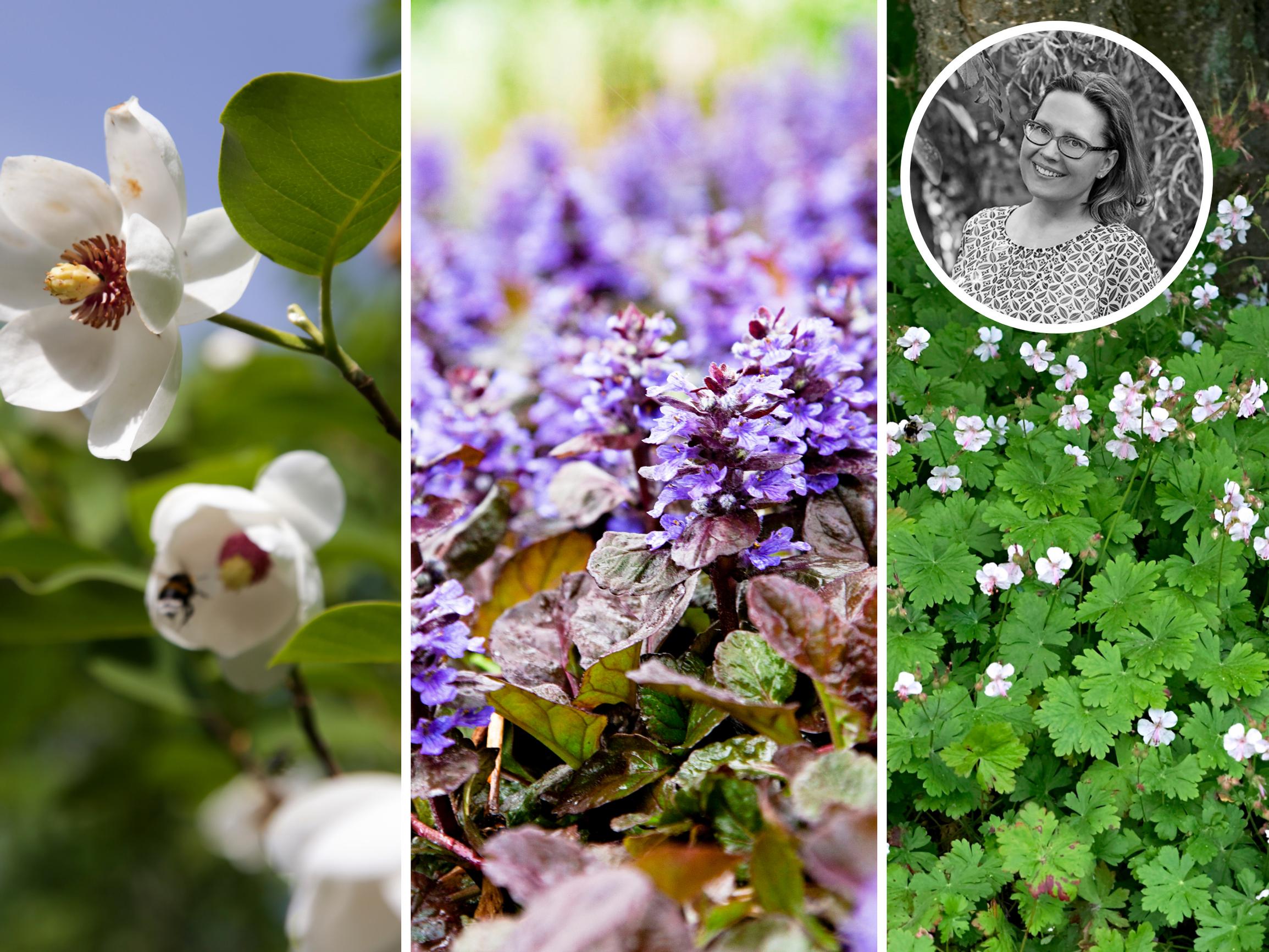 Say goodbye to wasted space! The narrow gap between houses was transformed into something special by a garden designer 