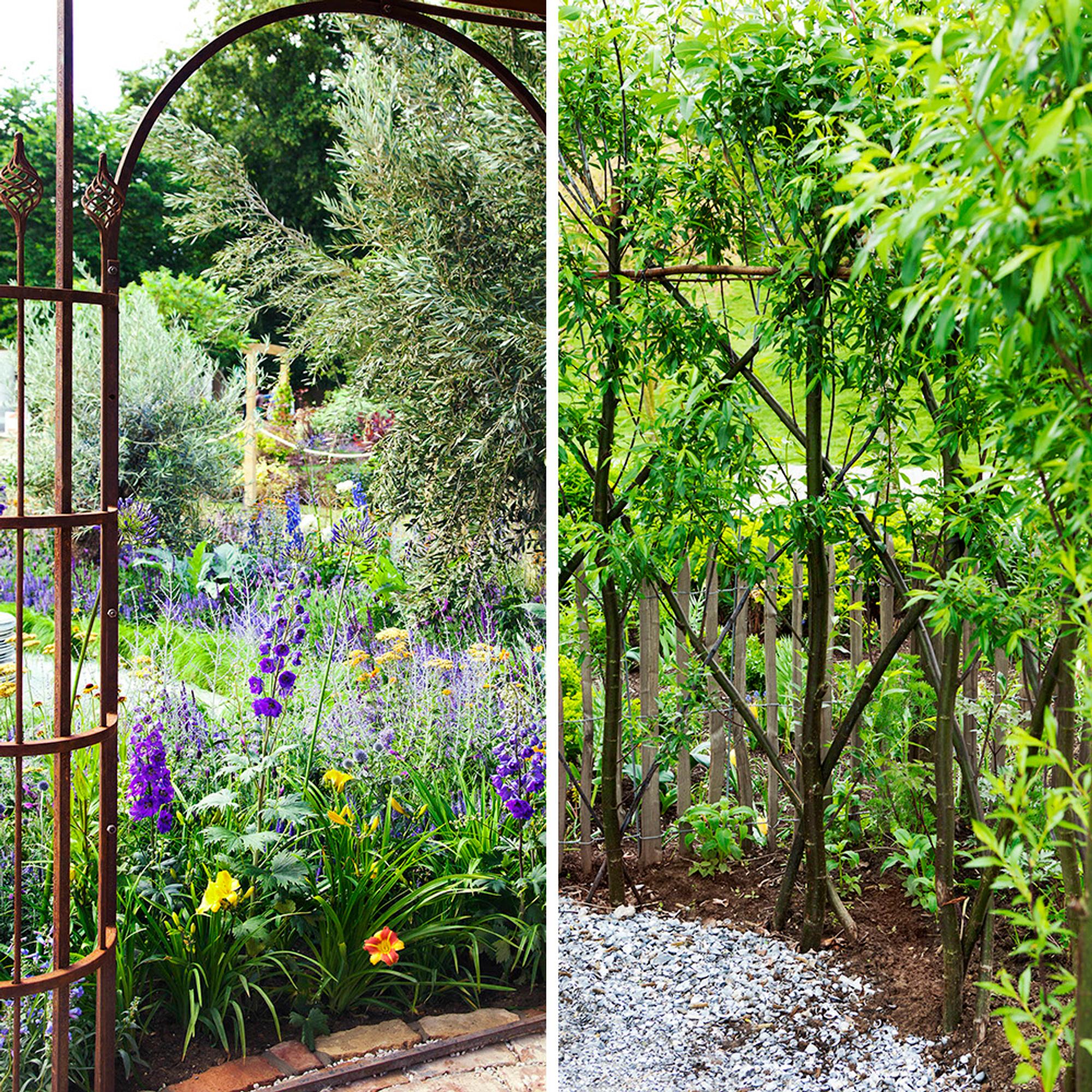 14 privacy screen ideas for your garden