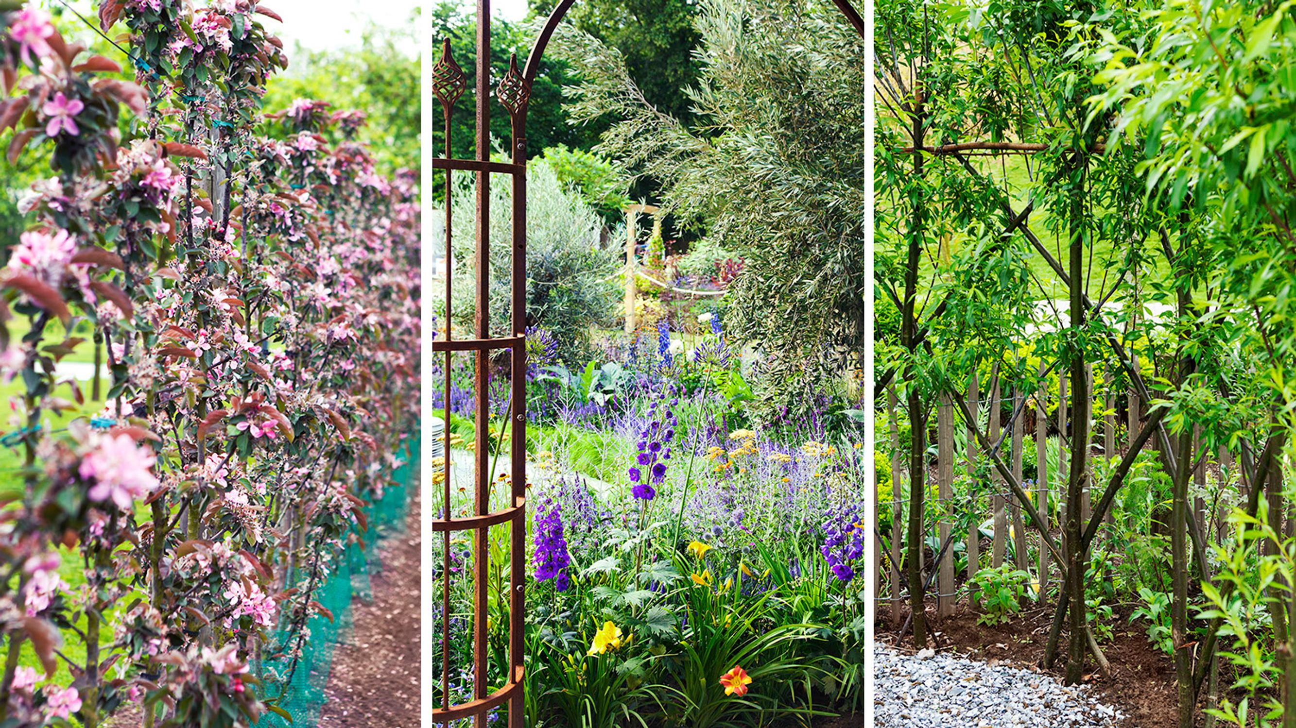 14 privacy screen ideas for your garden