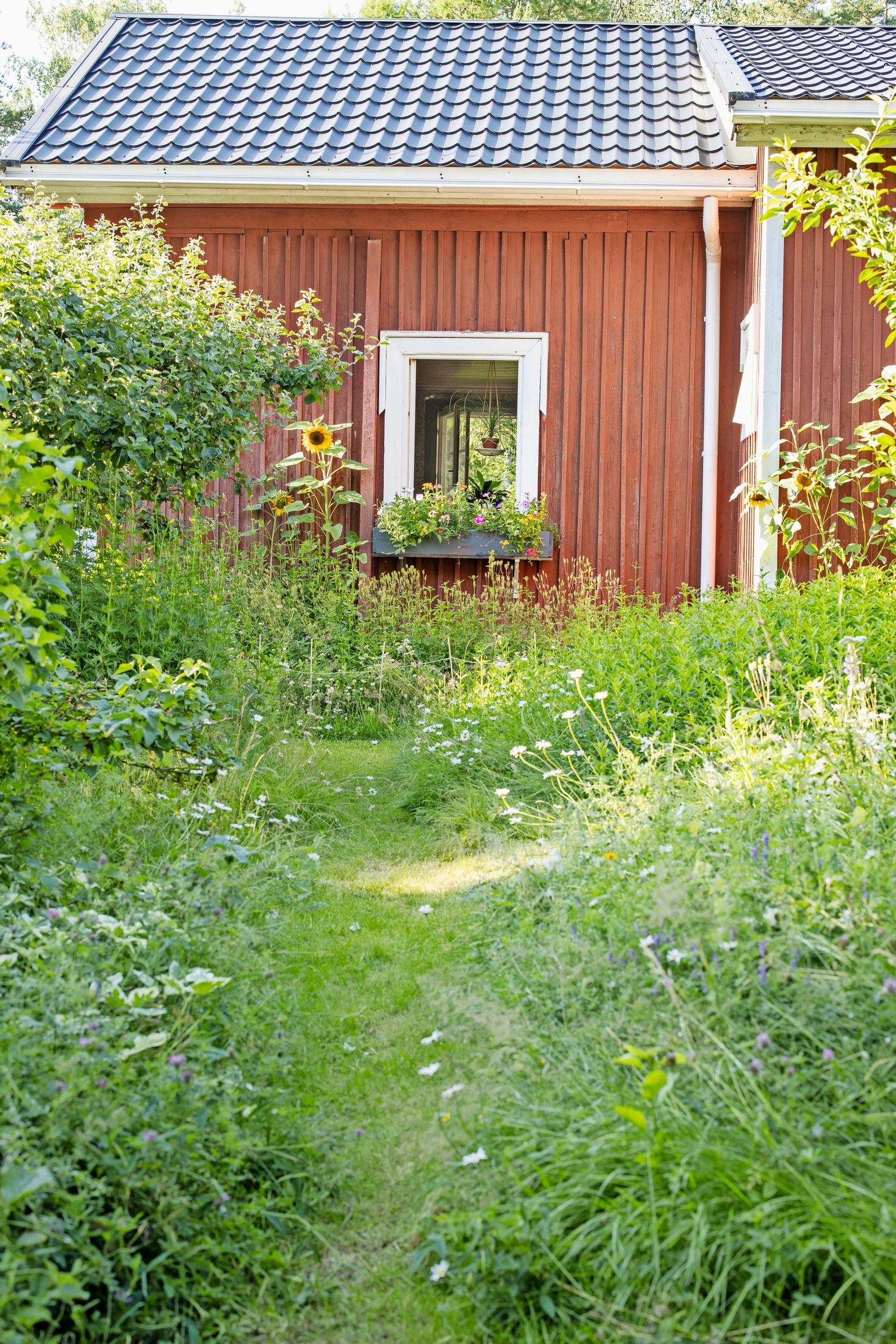 No-dig meadow