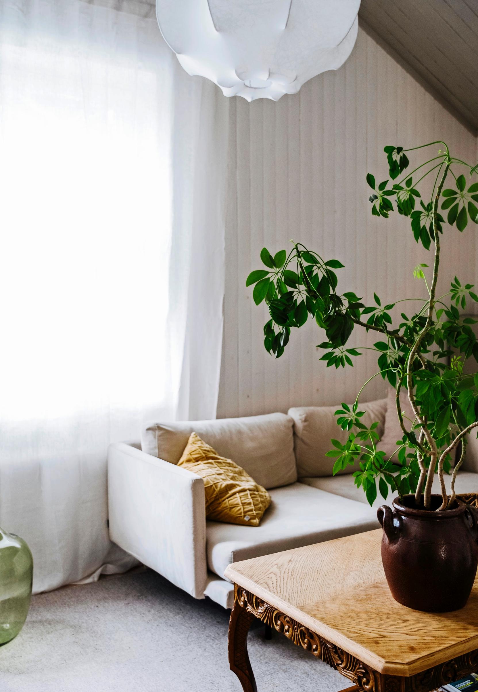 Upstairs living area. A sofa and table.