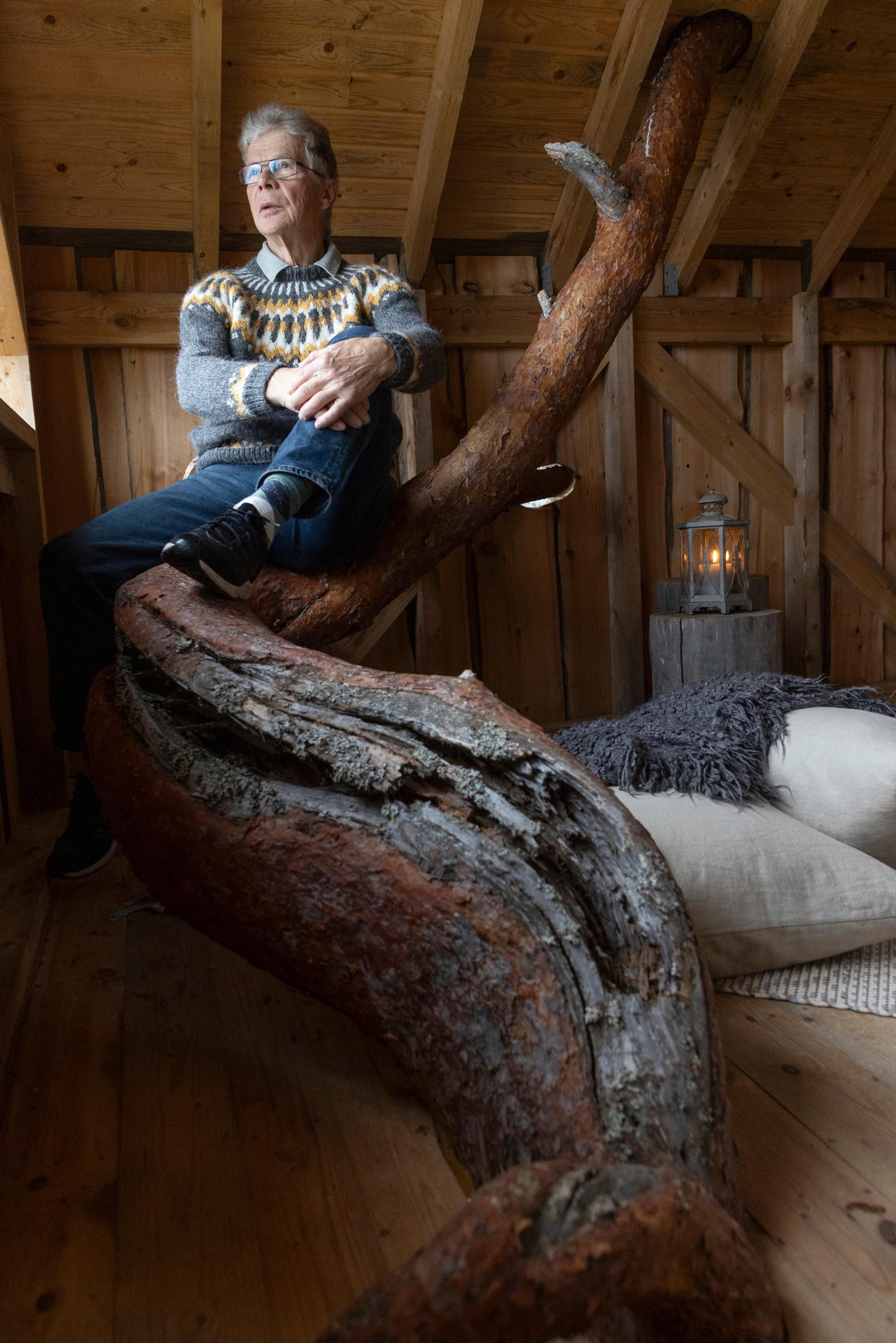 Aimo Taljavirta sits on the tree trunk inside the treehouse