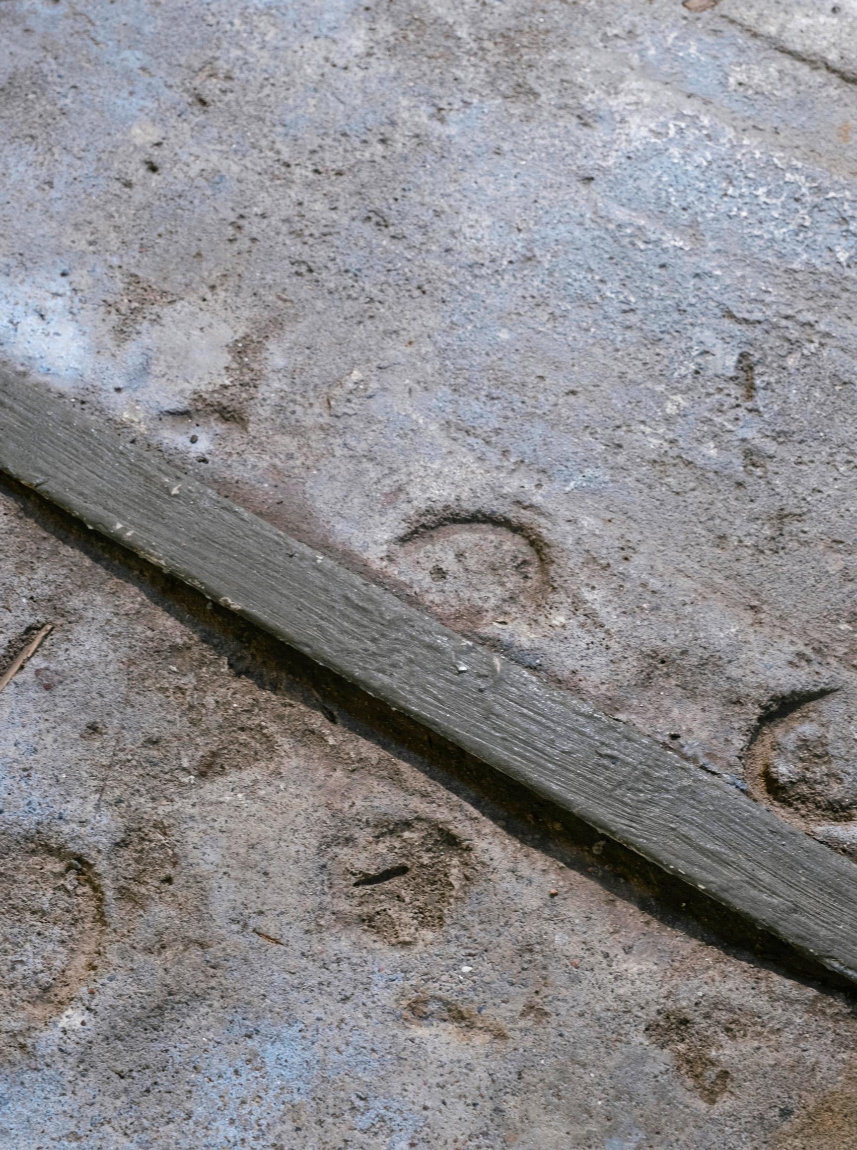 Hoof prints on the floor