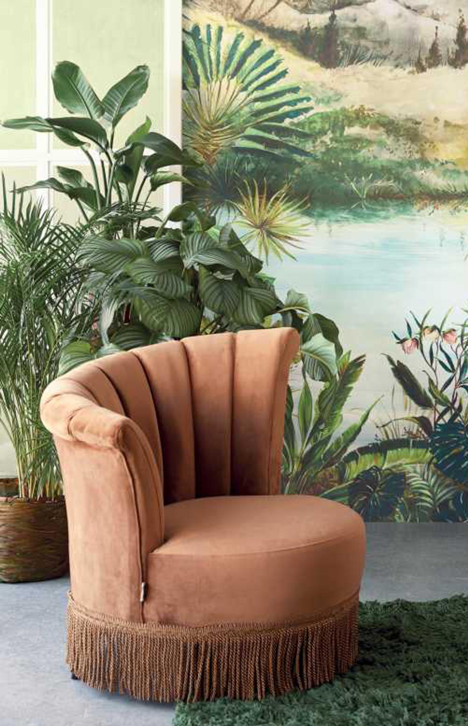 growing calathea