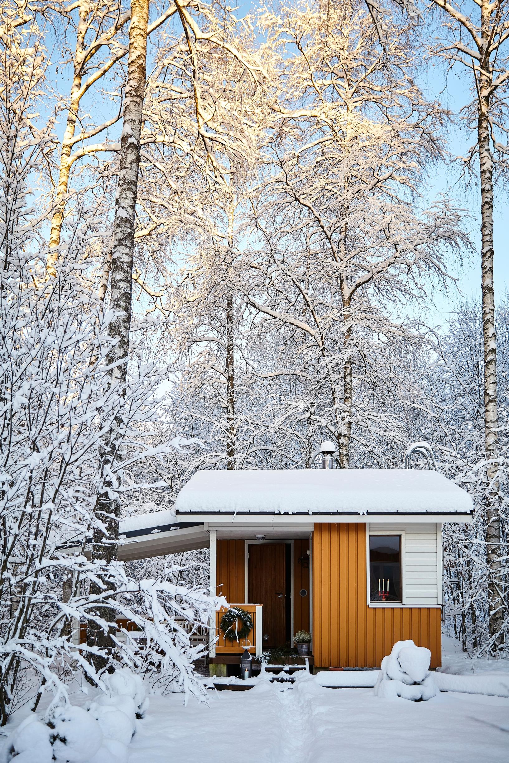 A yellow yard sauna and a snowy forest