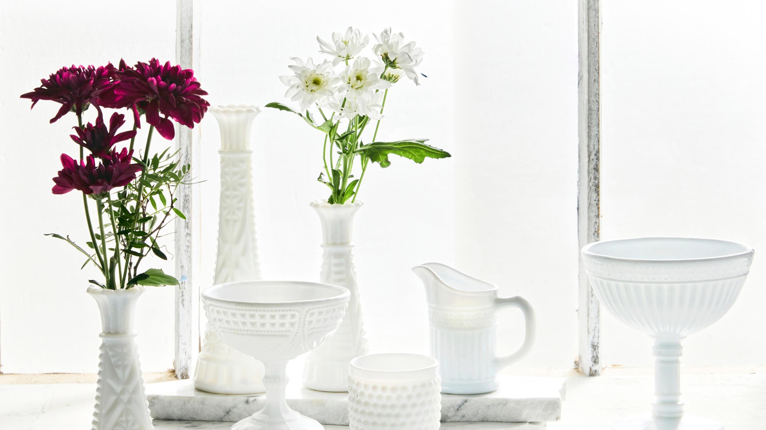 Bone glass: the fearsome-sounding collector’s treasure that feels like glass but looks like porcelain