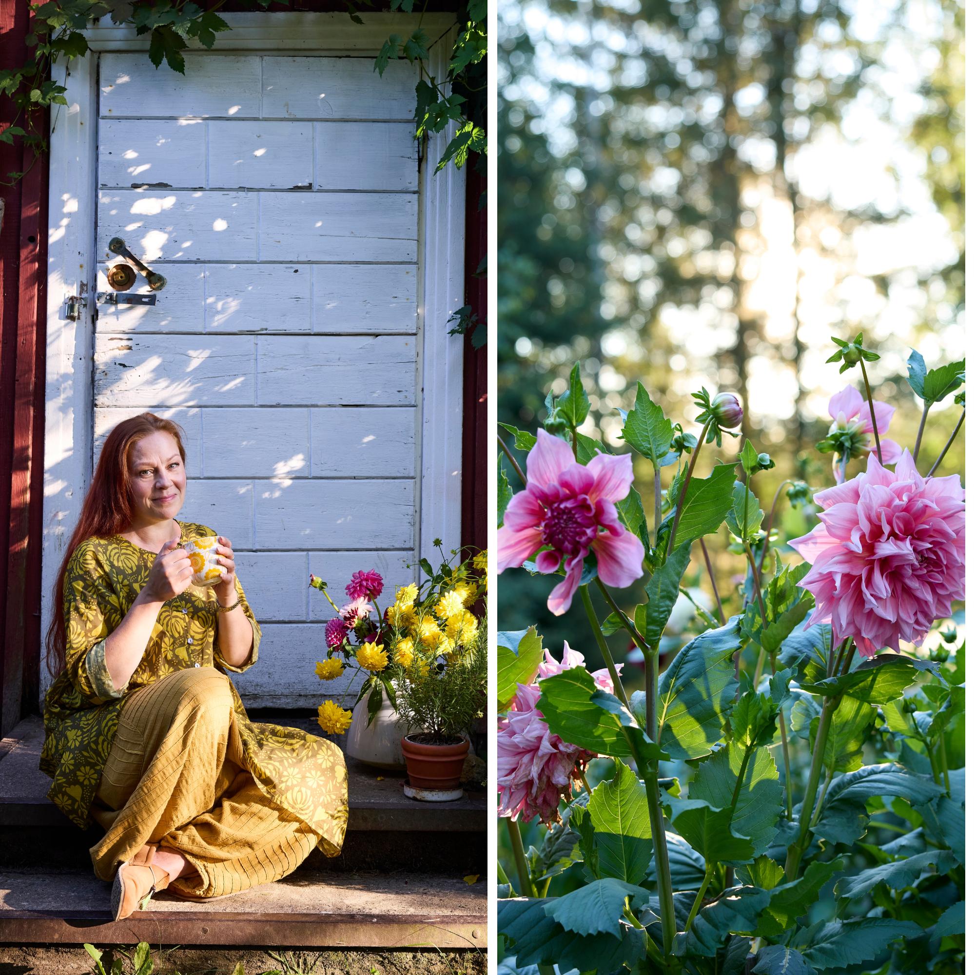 Where even the lawn blooms: “I could gaze at these plants forever”