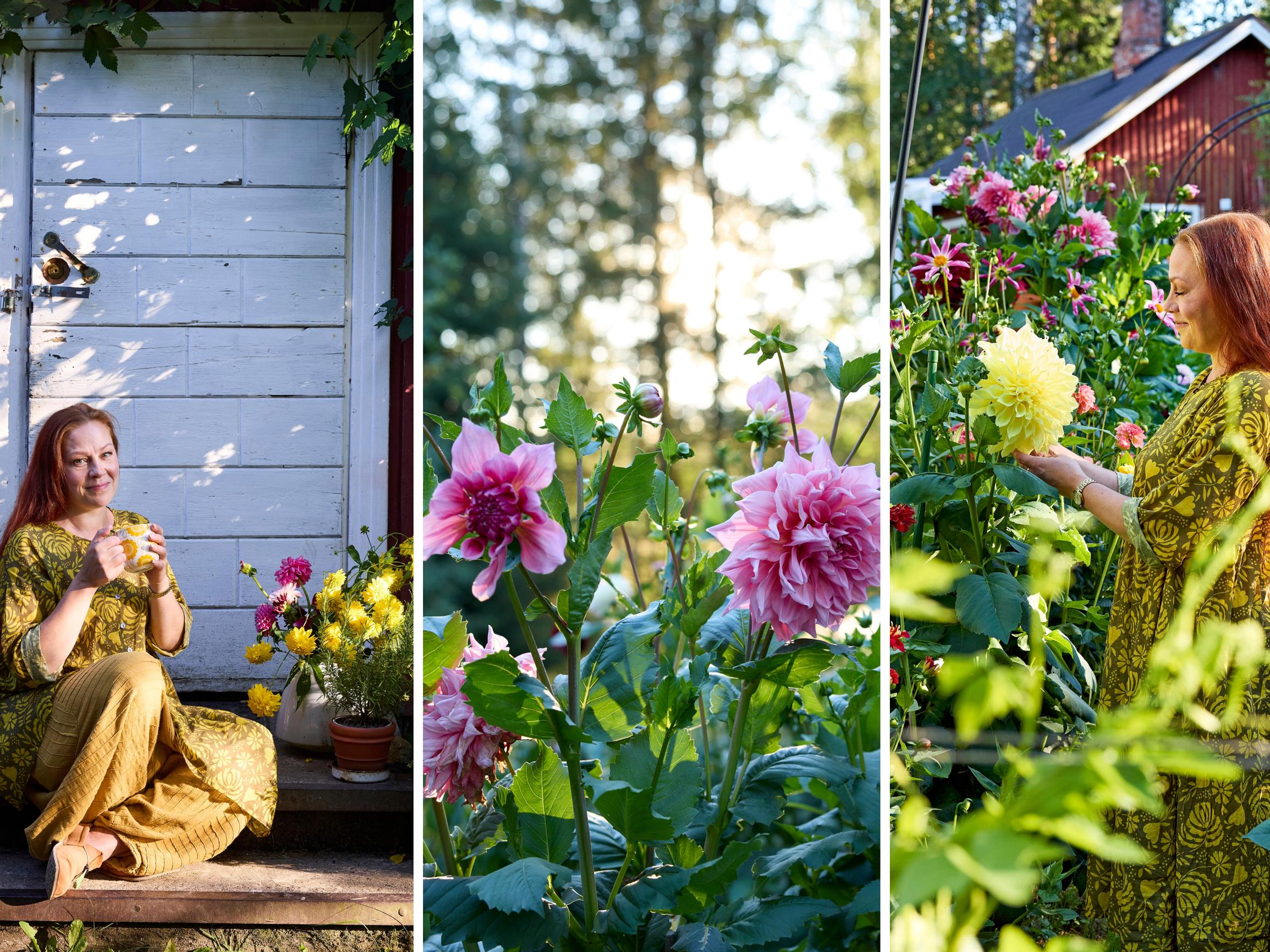 Where even the lawn blooms: “I could gaze at these plants forever”