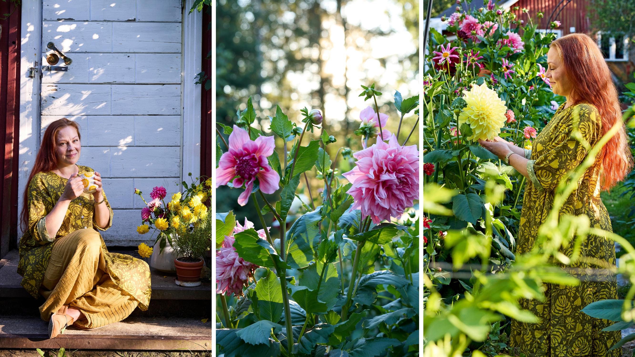 Where even the lawn blooms: “I could gaze at these plants forever”