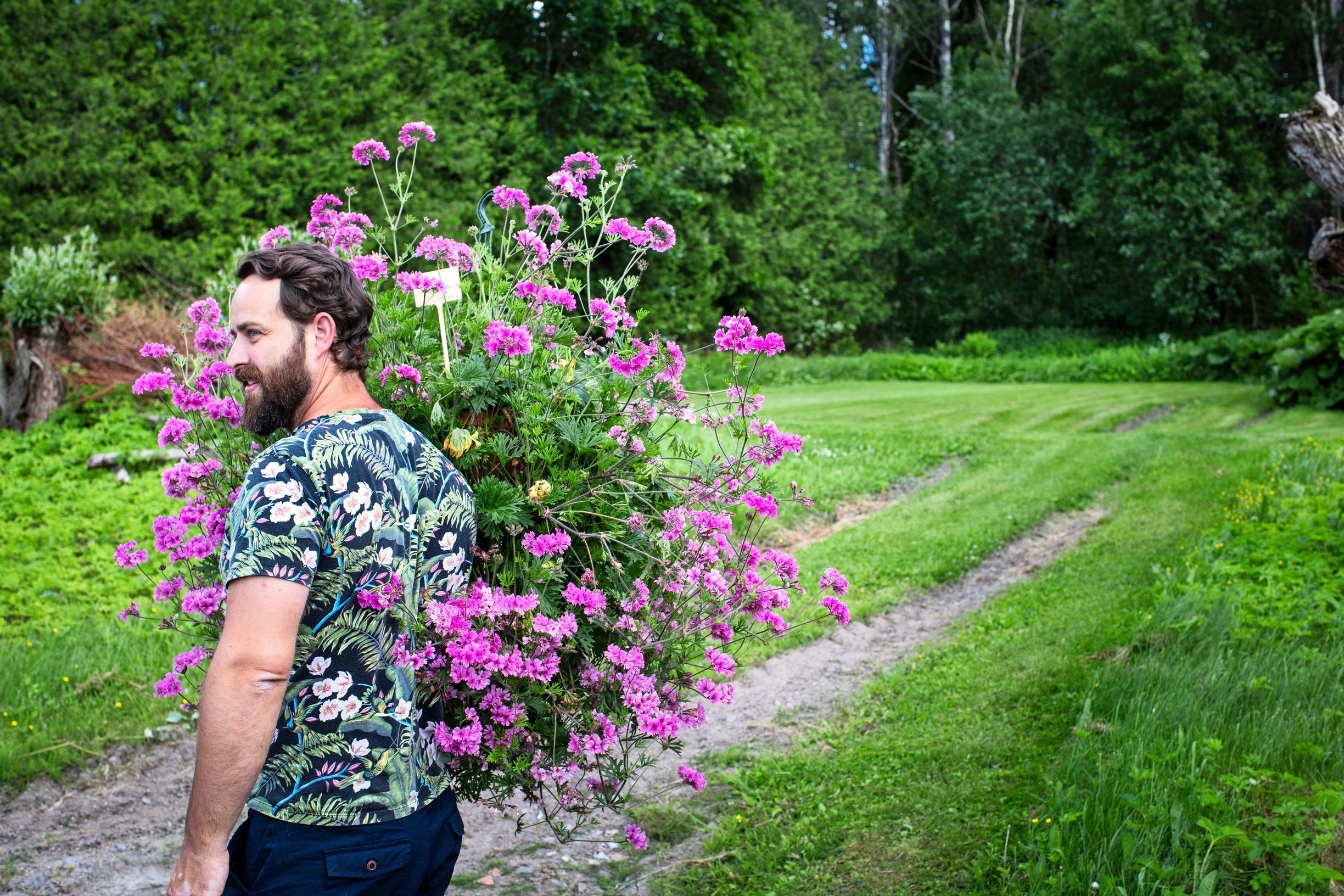 Mikael holding a large Pelargonium ‘Diana.’