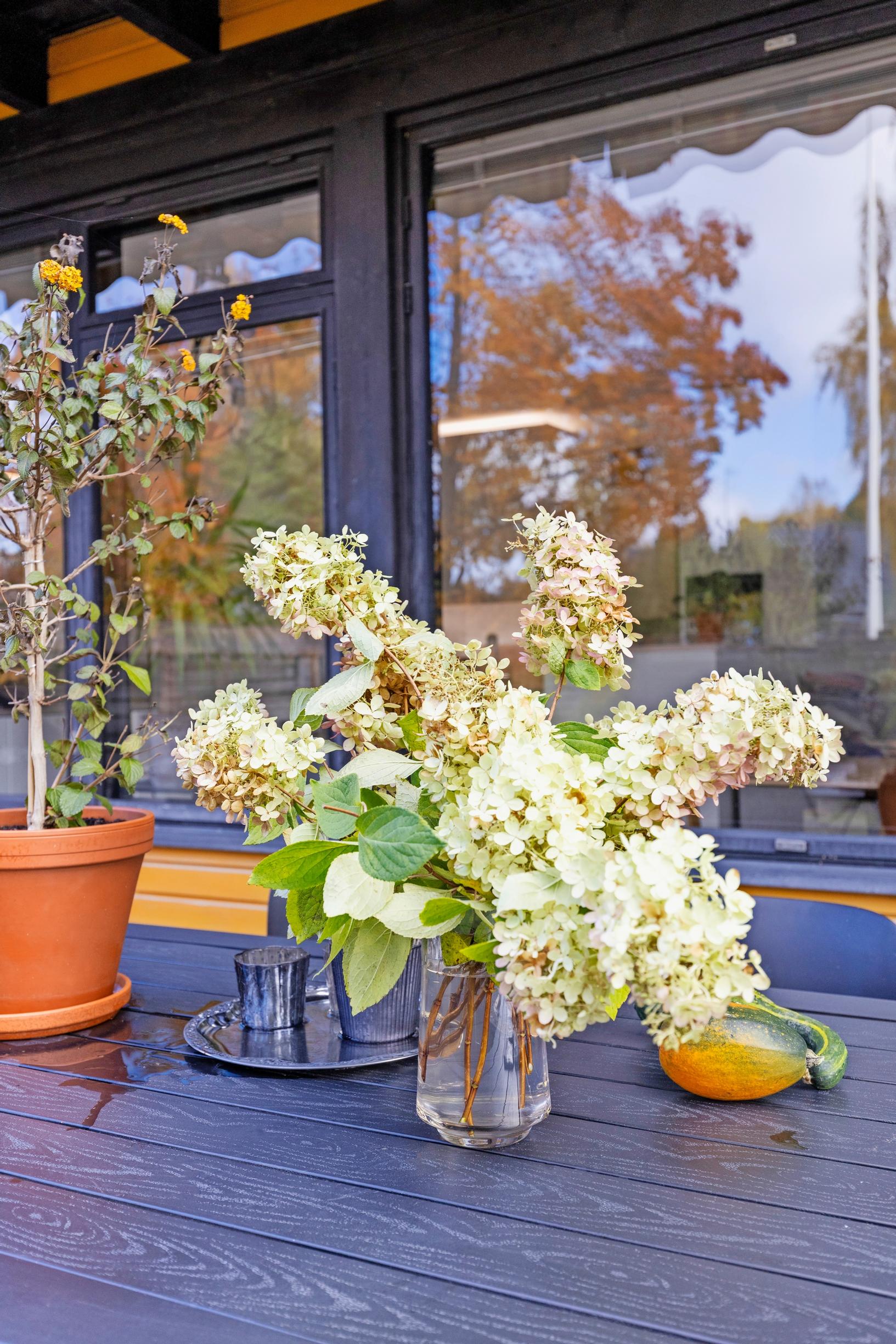 Photo of the 1970s row house facade and a bouquet of hydrangeas.