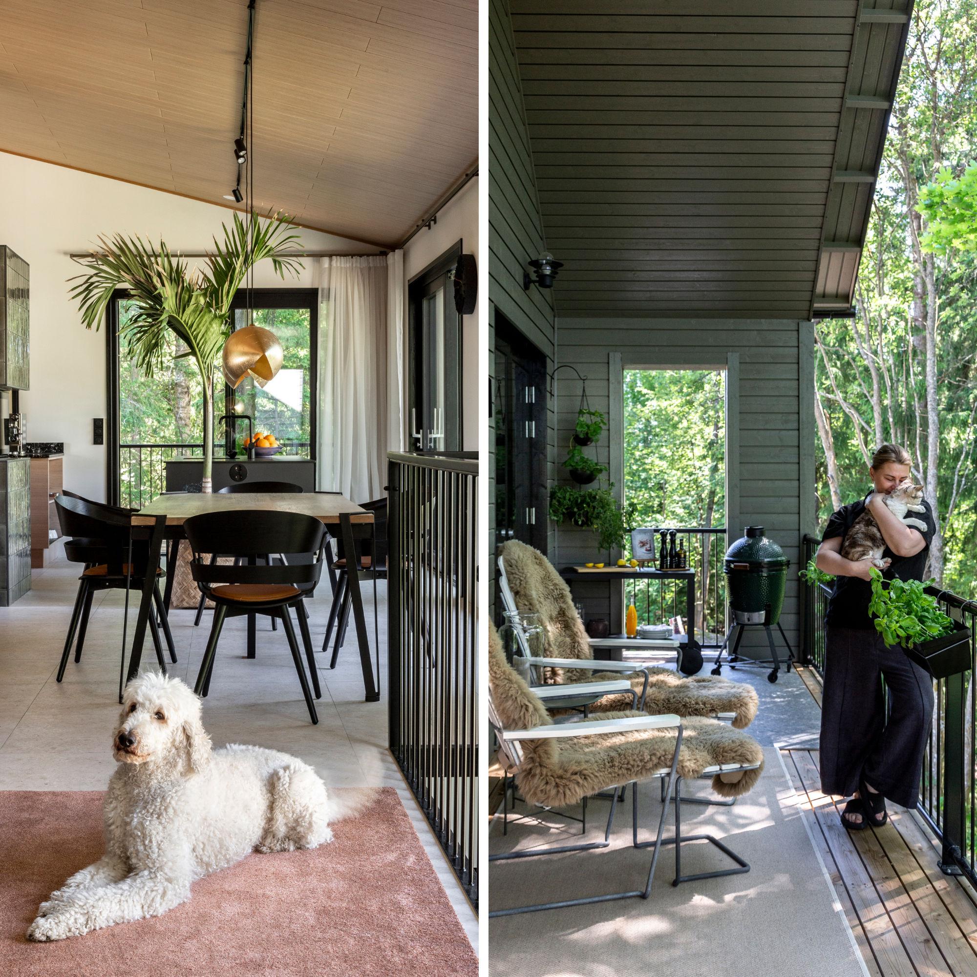 This interior designer’s home is a dream for pets: “I wanted a perfect layout”
