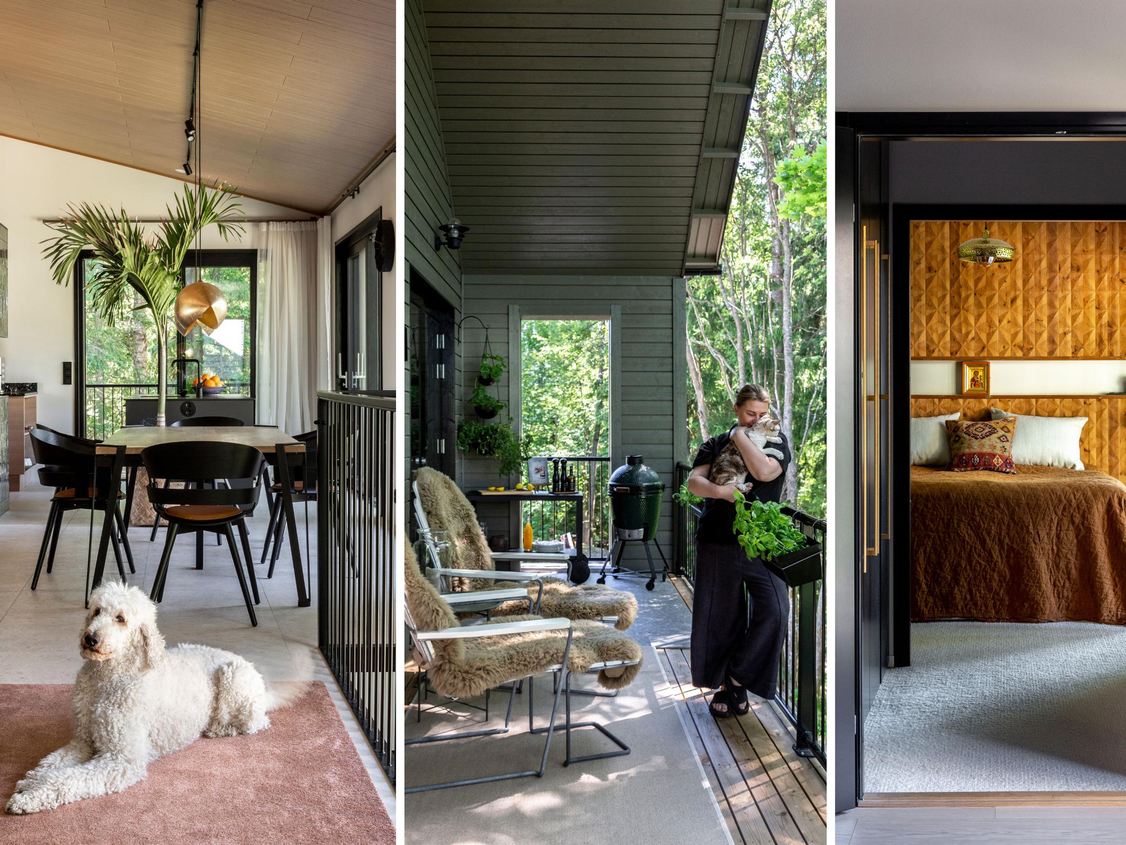 This interior designer’s home is a dream for pets: “I wanted a perfect layout”