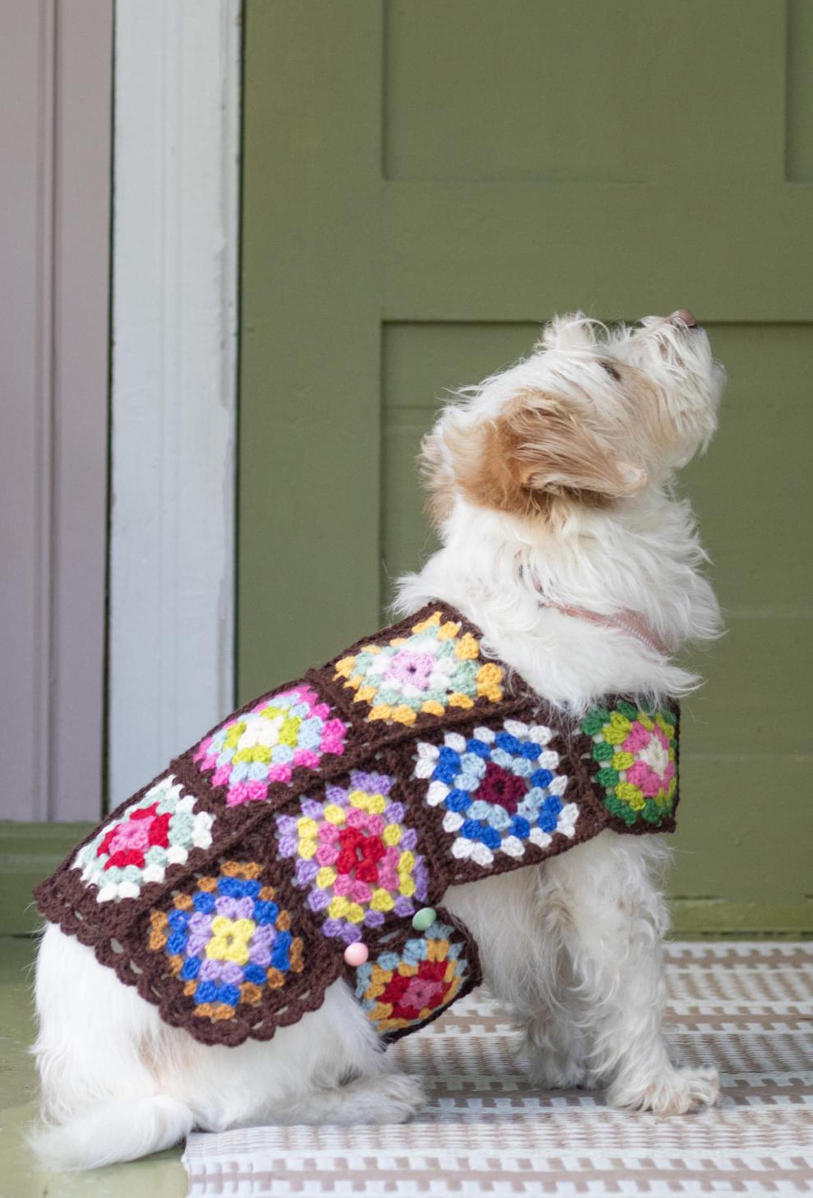 Dog sweater crocheted from granny squares