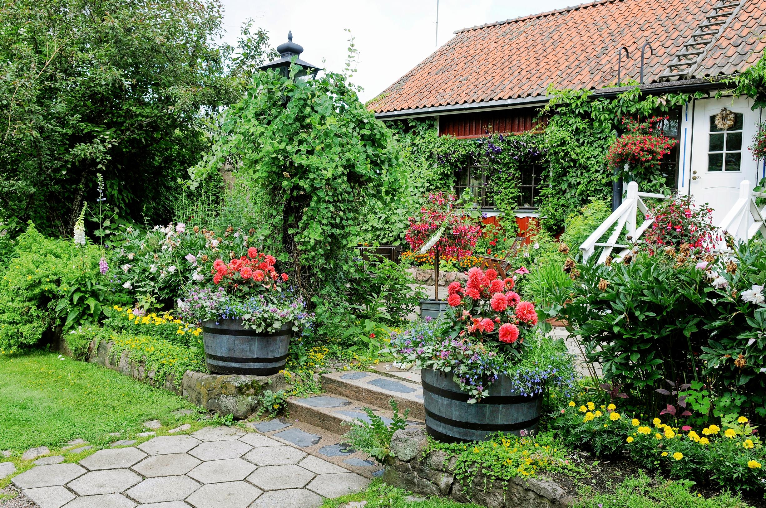 inspiration for summer flower plantings