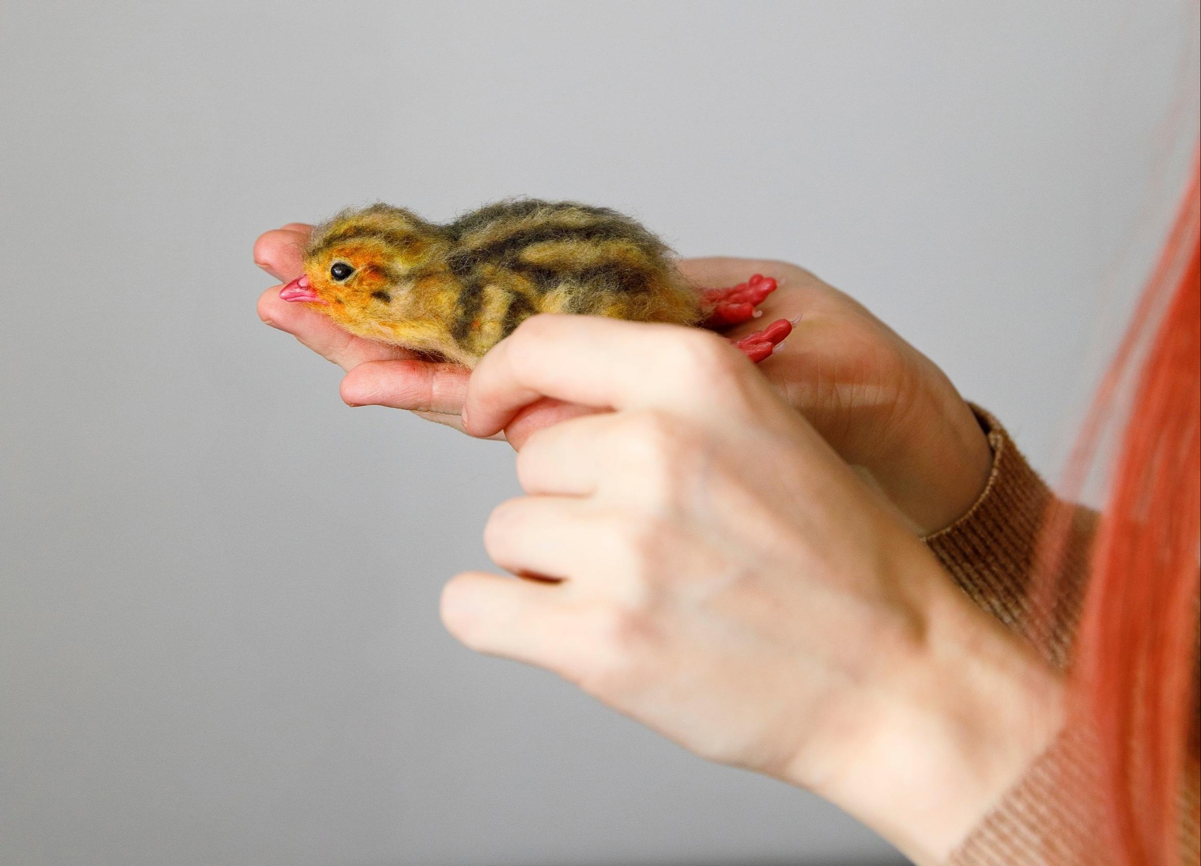 Mirjami holding a felted quail chick.