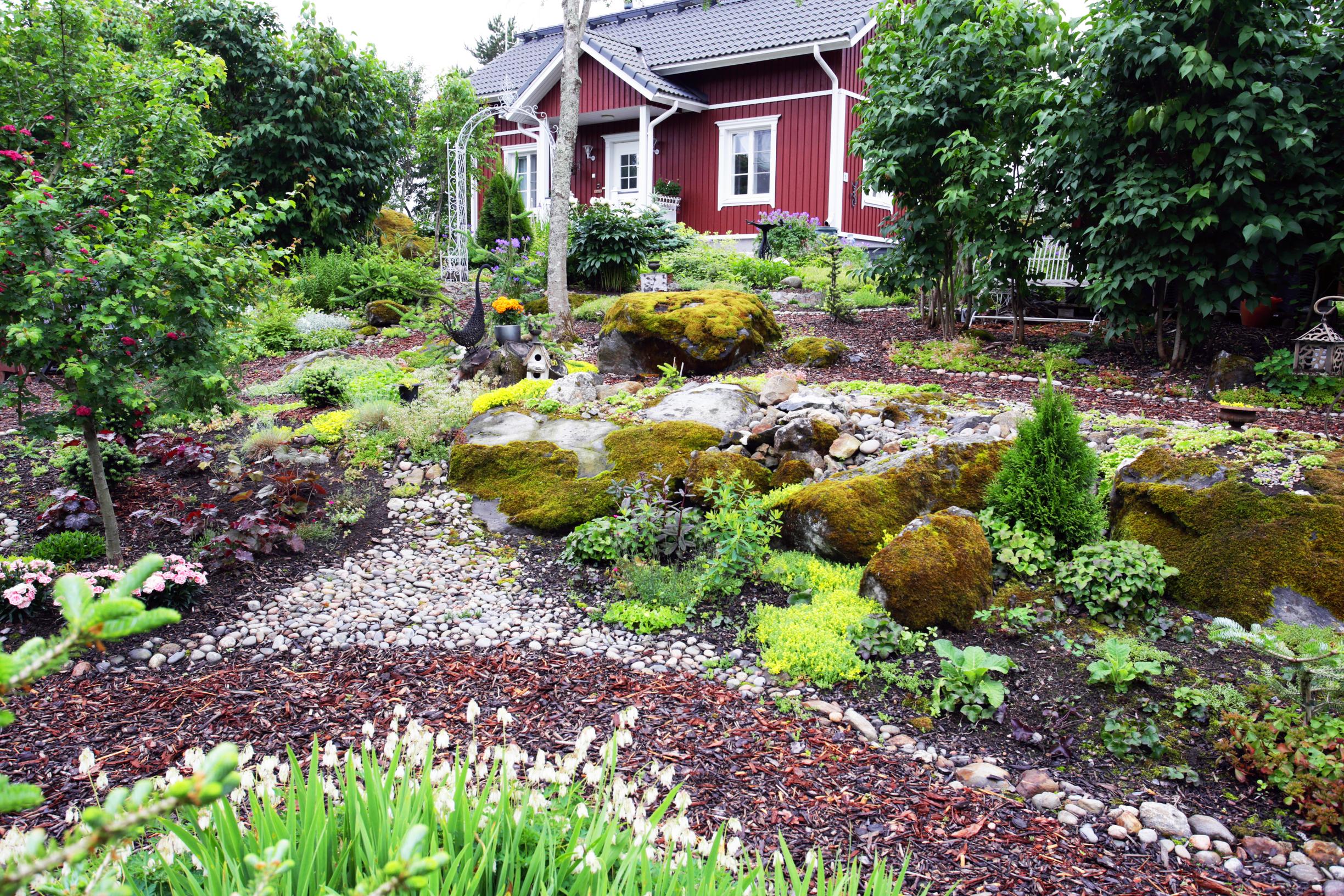 Moss-covered stones in the garden