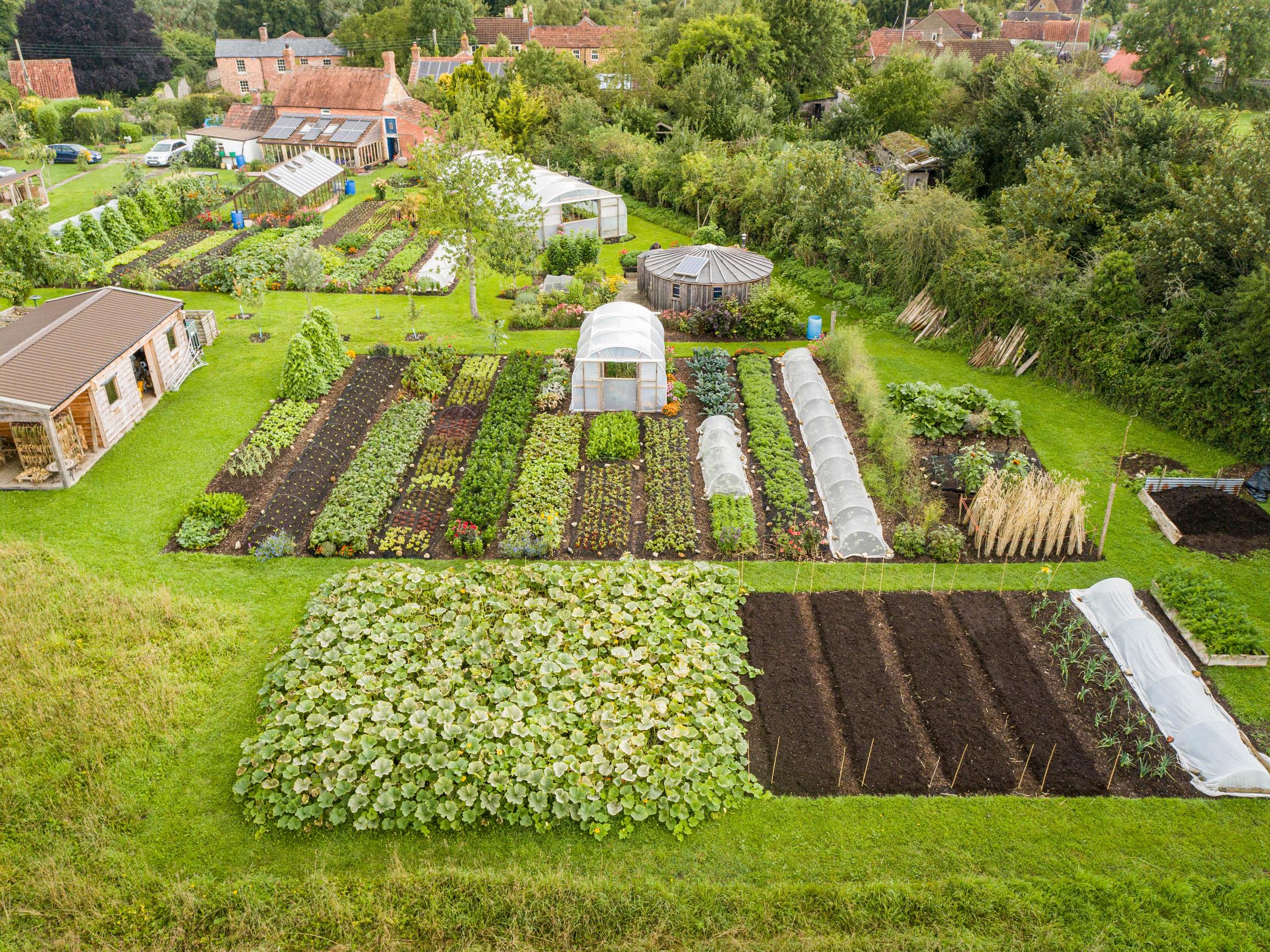 Charles Dowding’s home farm, Homeacres, is dedicated to compost mulch cultivation.