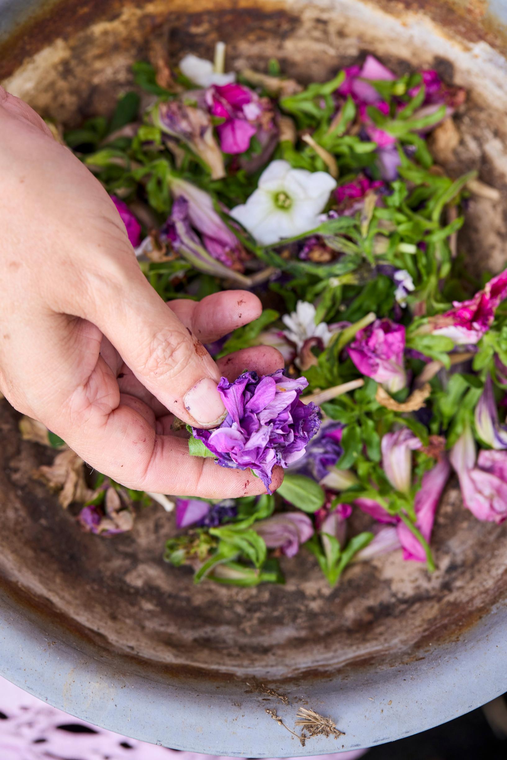 summer-flower hanging baskets: withered petunia blooms.