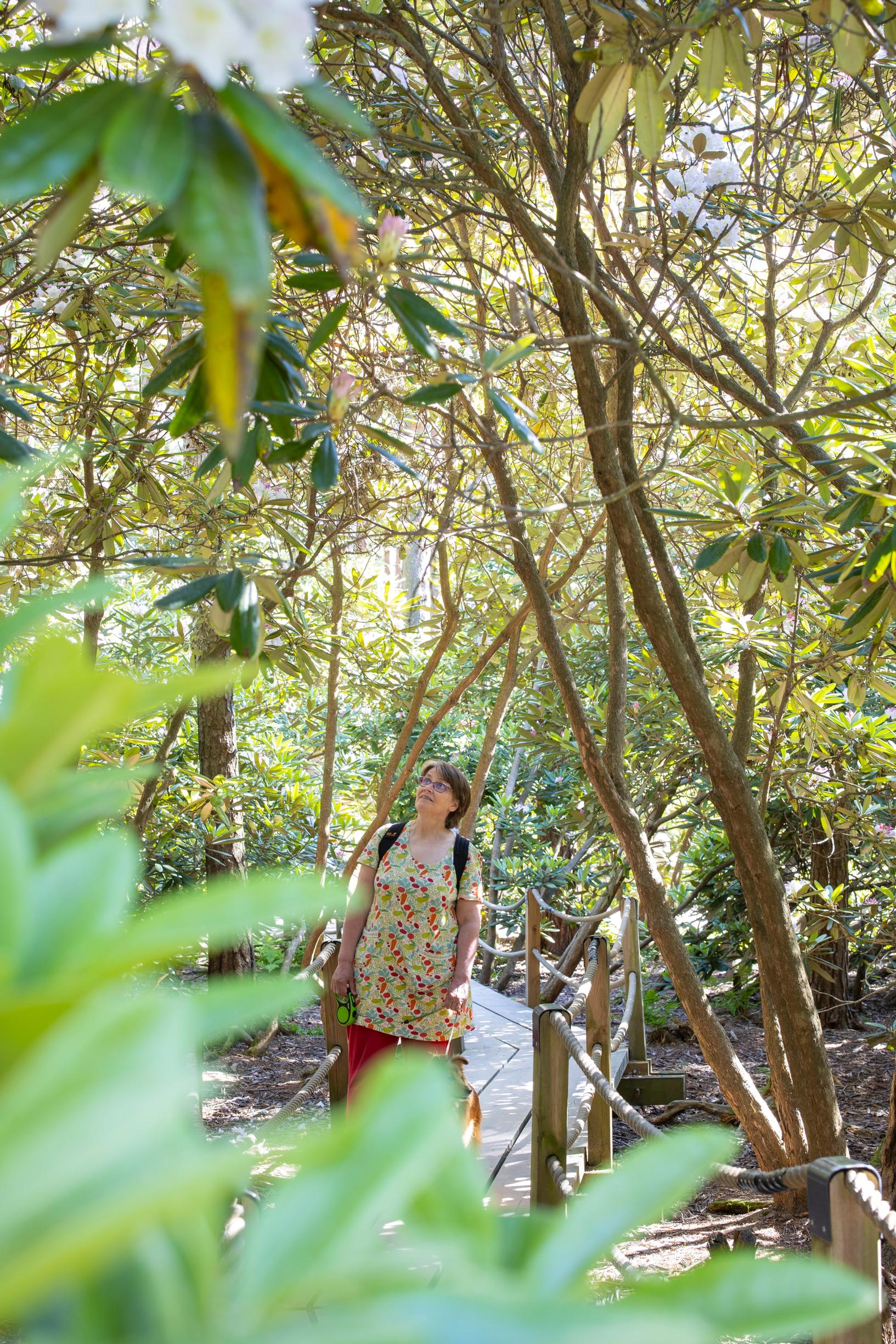 Anu Väinölä in Haaga Rhododendron Park
