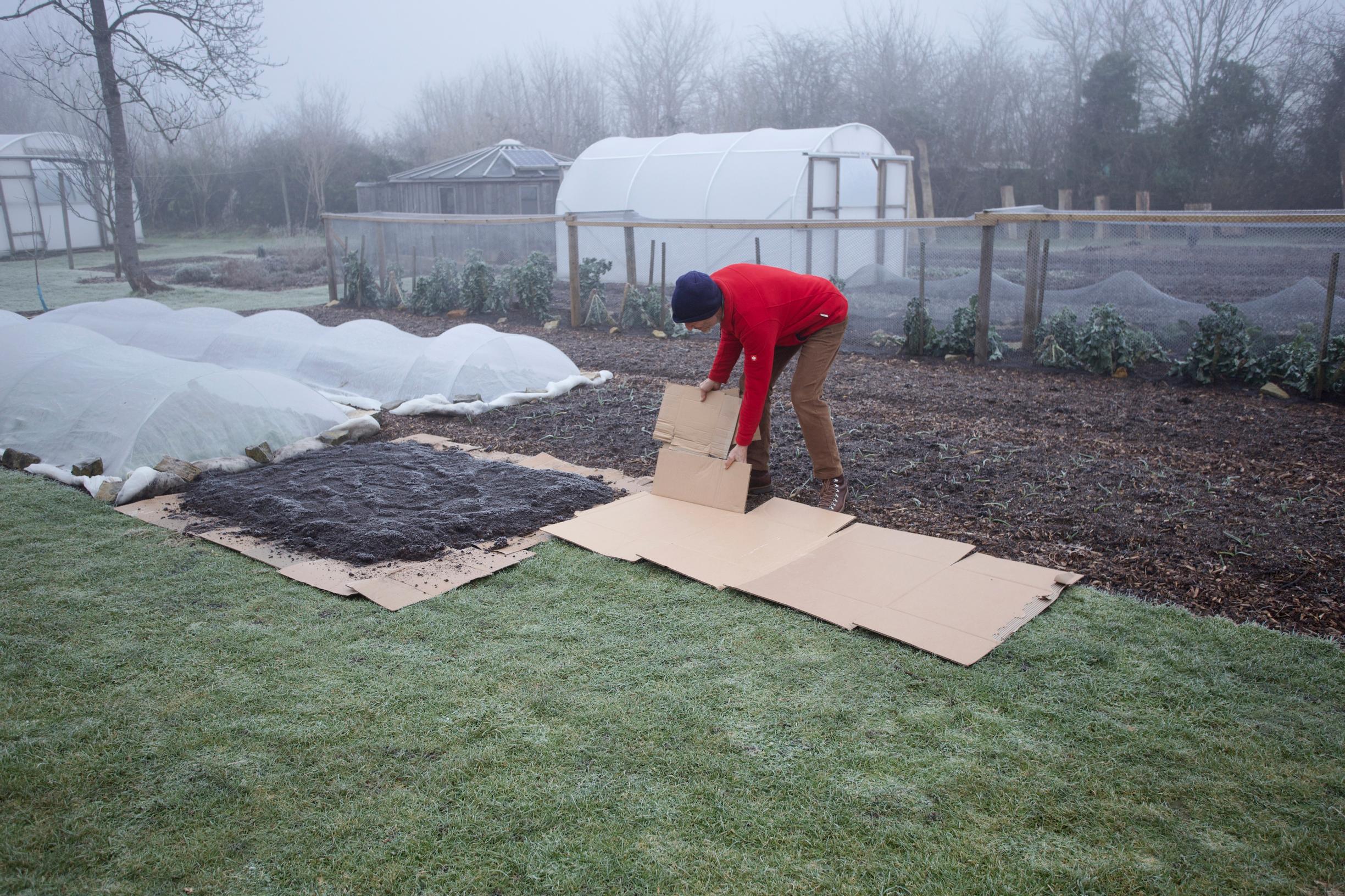 No-dig gardening: Using cardboard at the bottom of the bed saves time and effort